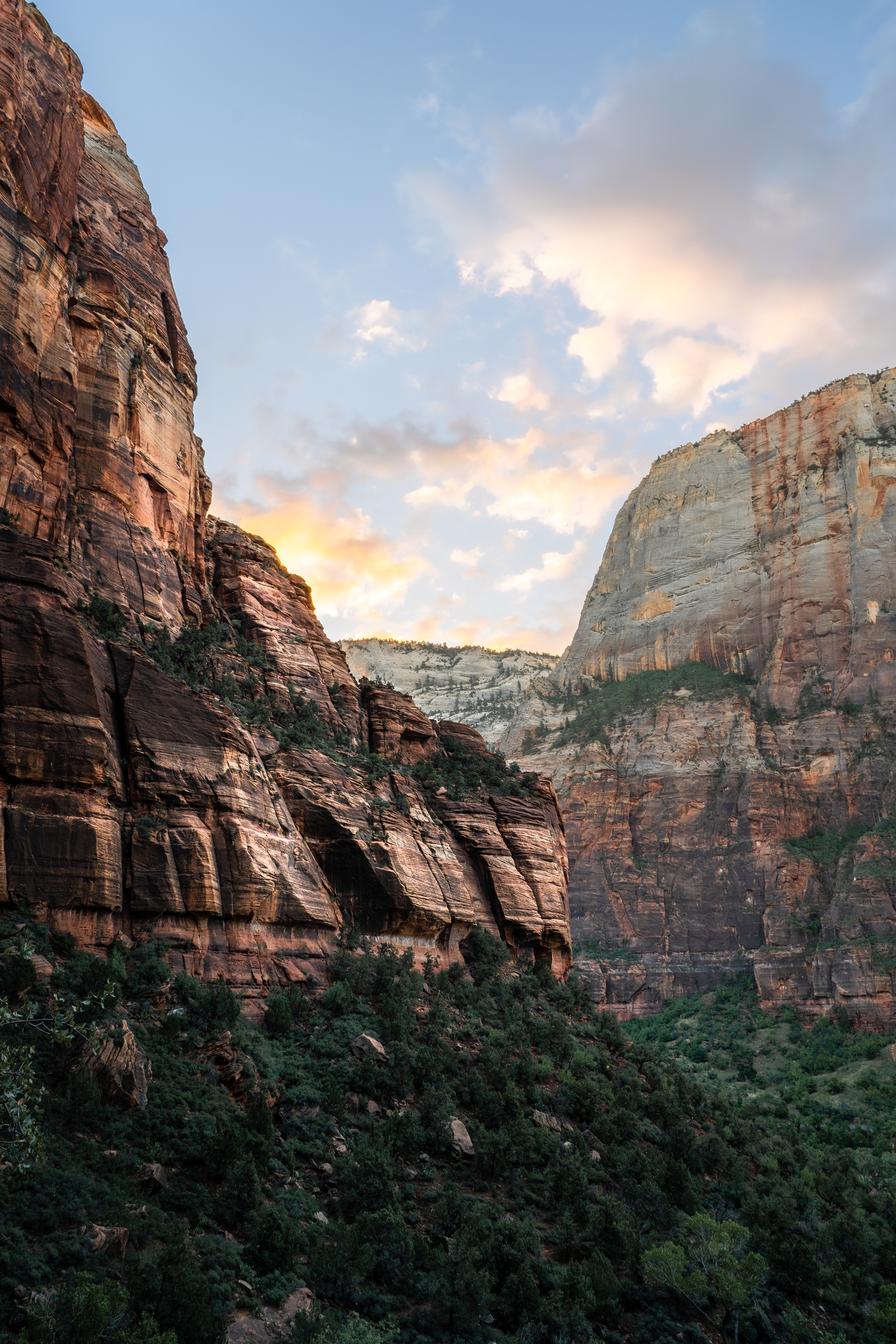 Utah | Zion National Park