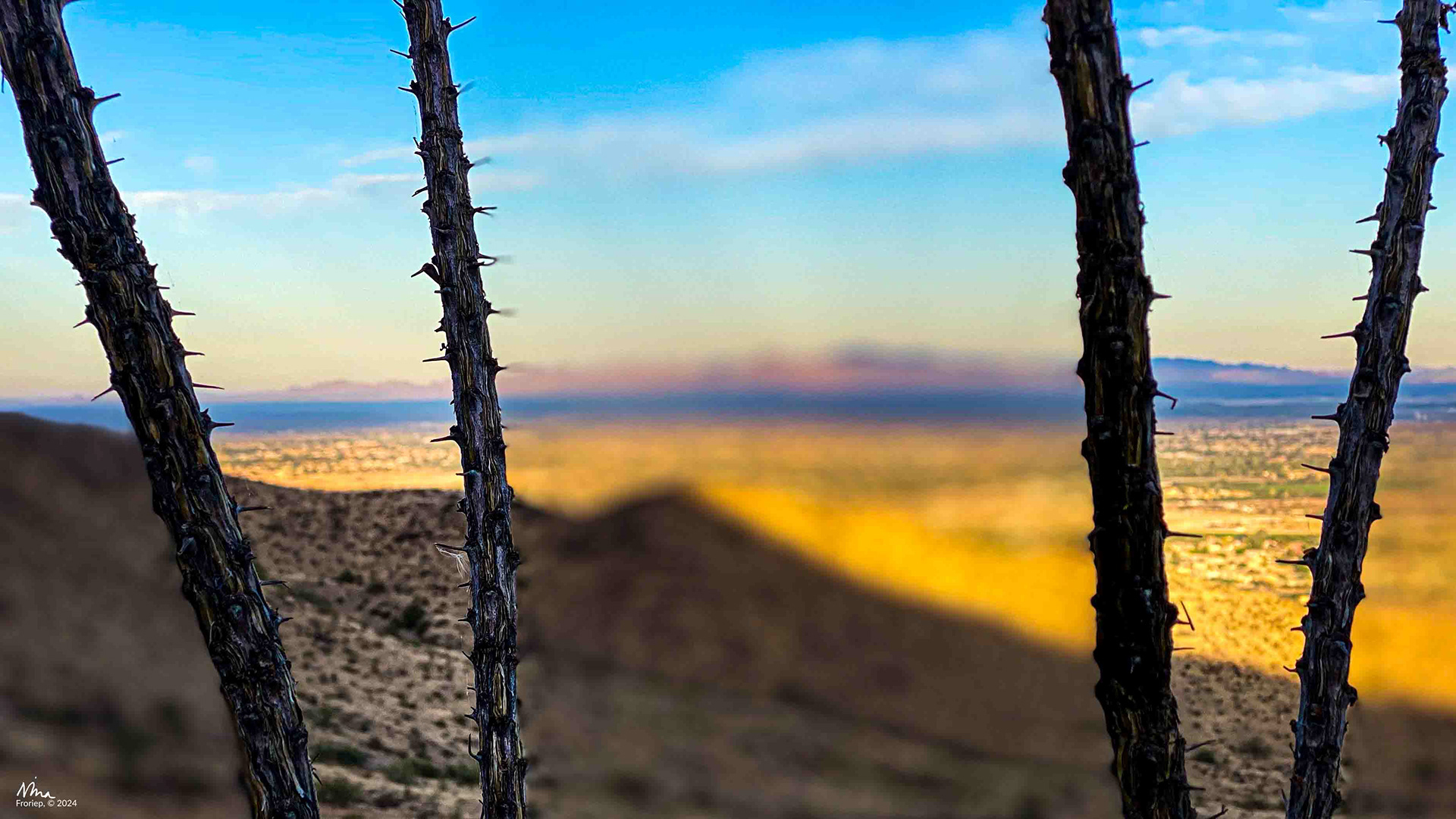 Morning Hike - Phoenix, AZ Desert - focus play - 2021 - iPhone11