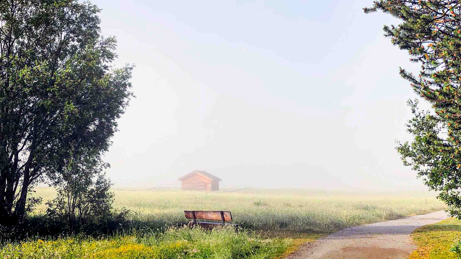 Morning Dew - La Punt Chamues-ch, Engadin Switzerland - 2022 - iPhone 13pro