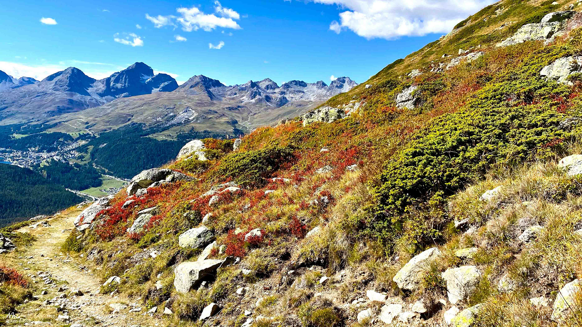 Fall Colors above Pontresina, Engadin, Switzerland - 2021 - iPhone 11pro