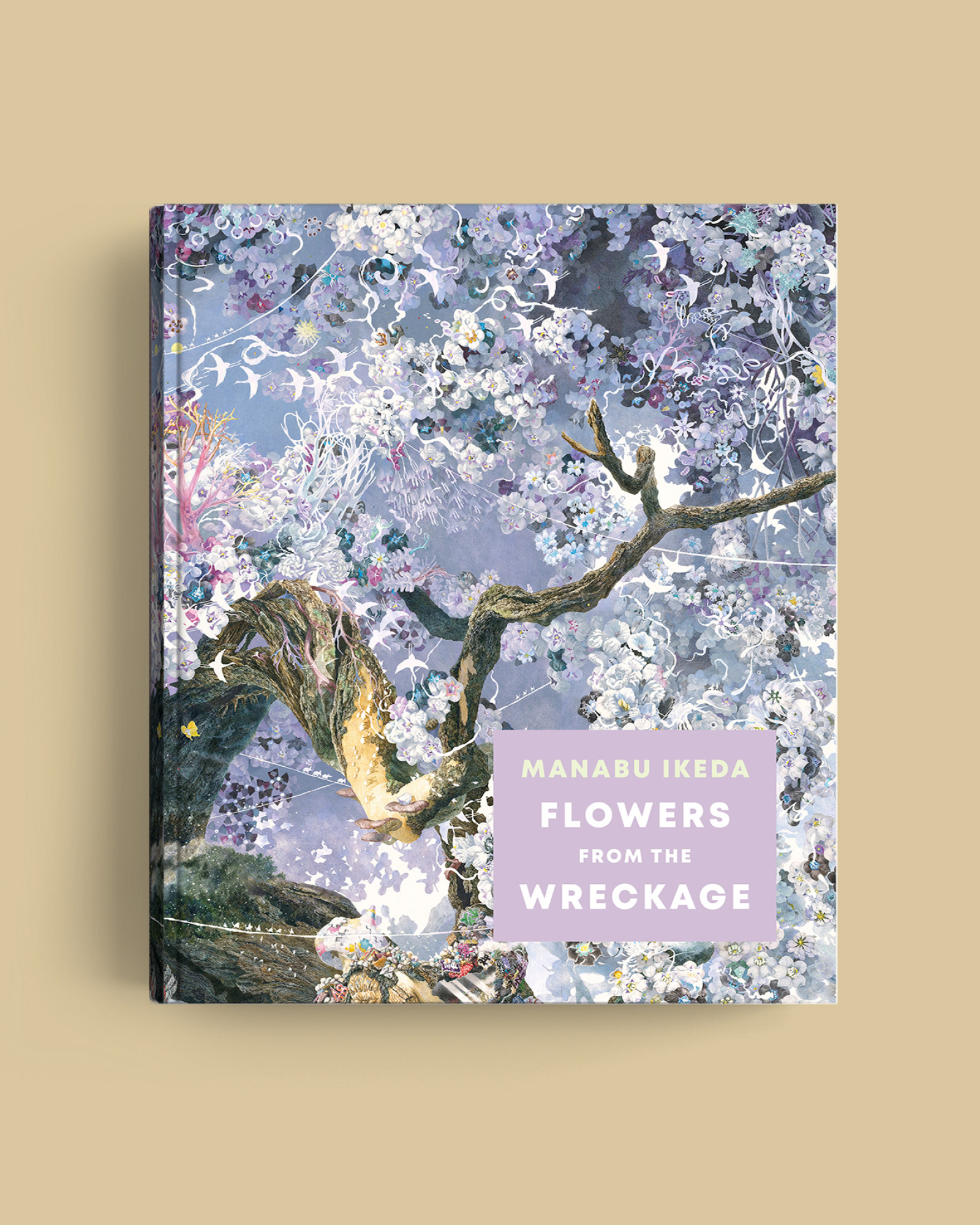 Manabu Ikeda: Flowers from the Wreckage book cover