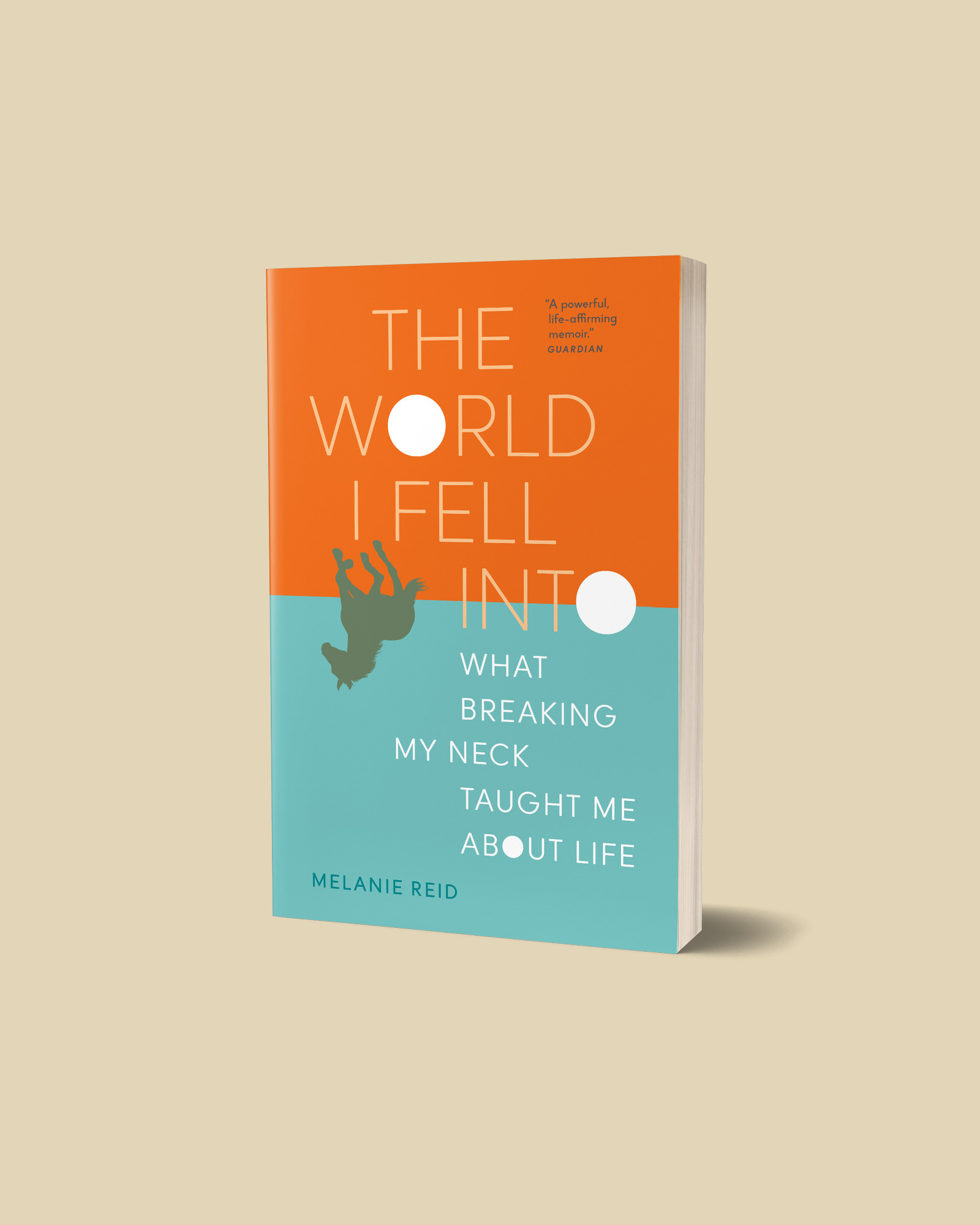 The World I Fell Into: What Breaking My Neck Taught Me About Life book cover