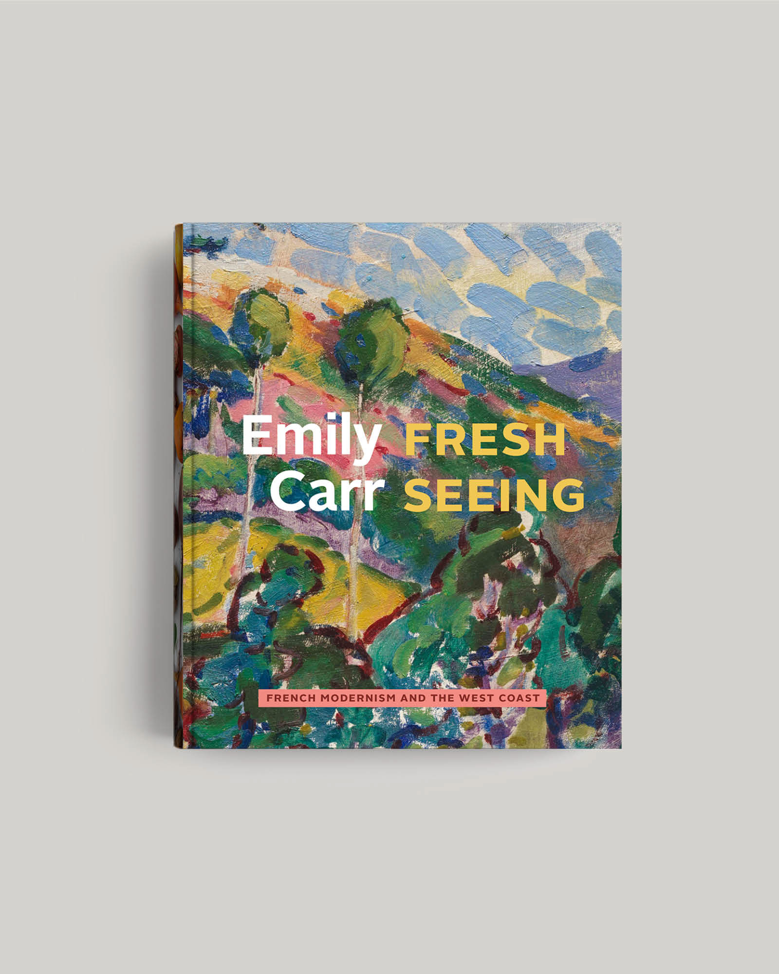Emily Carr: Fresh Seeing book cover
