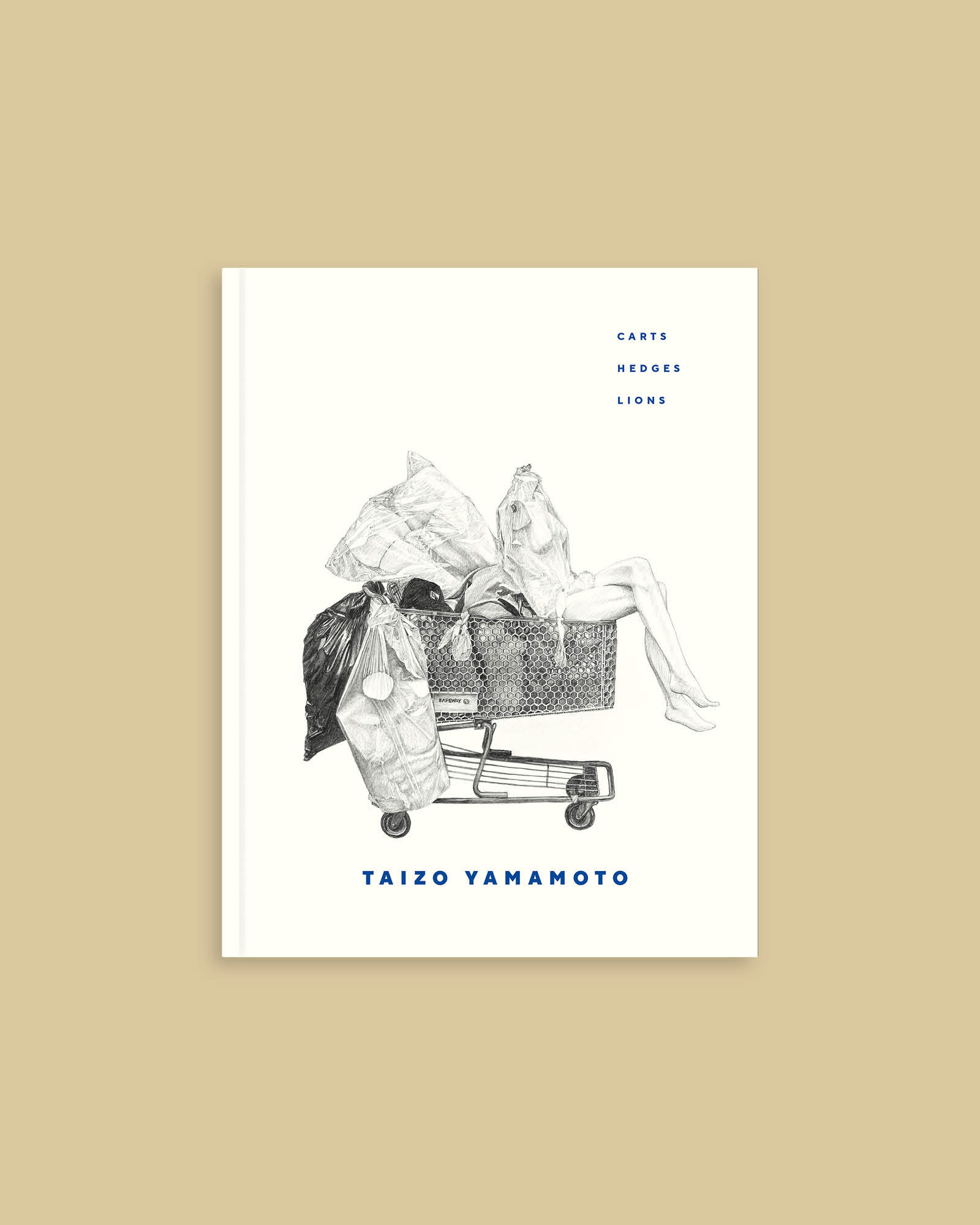 Taizo Yamamoto: Carts, Hedges, Lions book cover