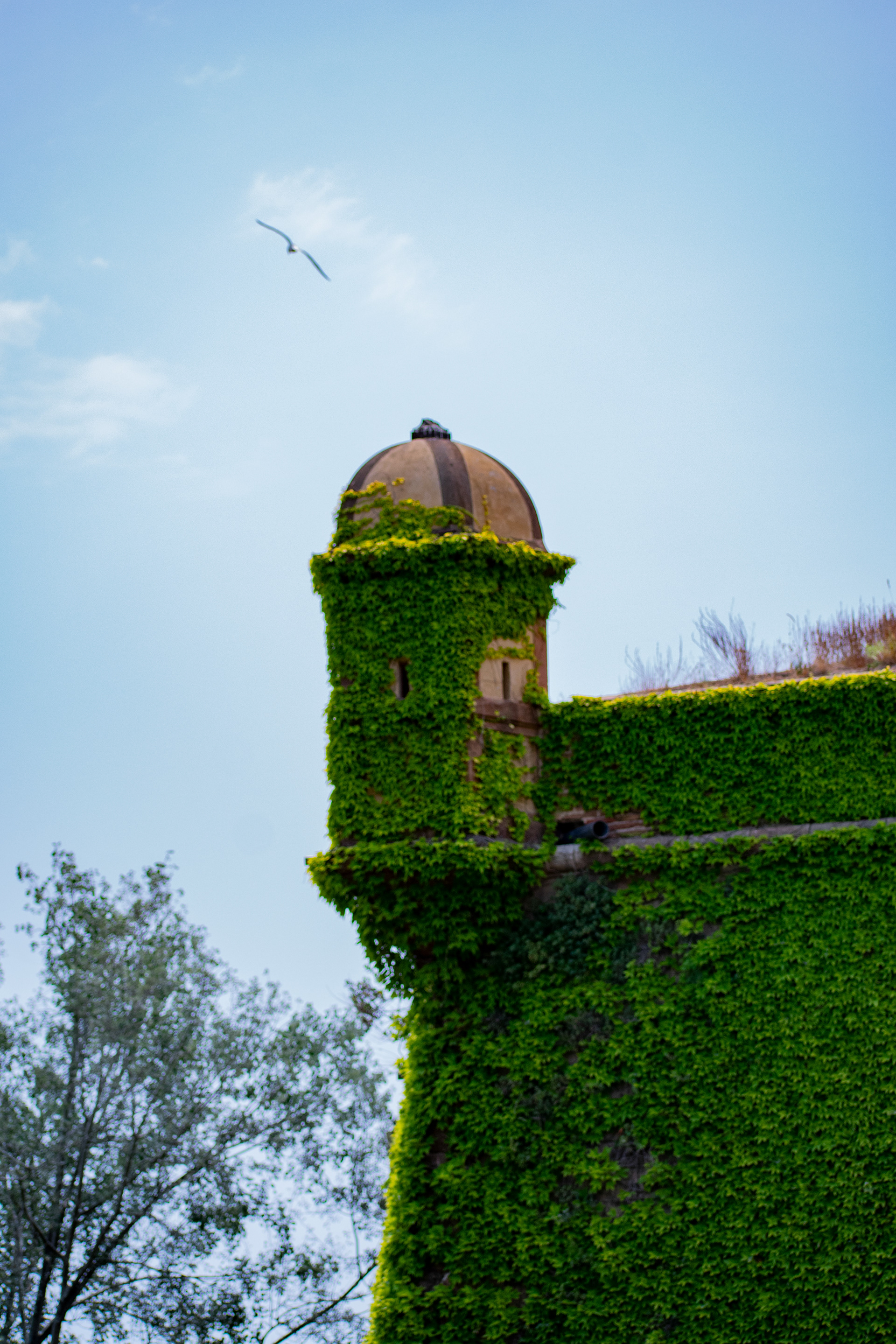 Montjuic. Barcelona, Spain