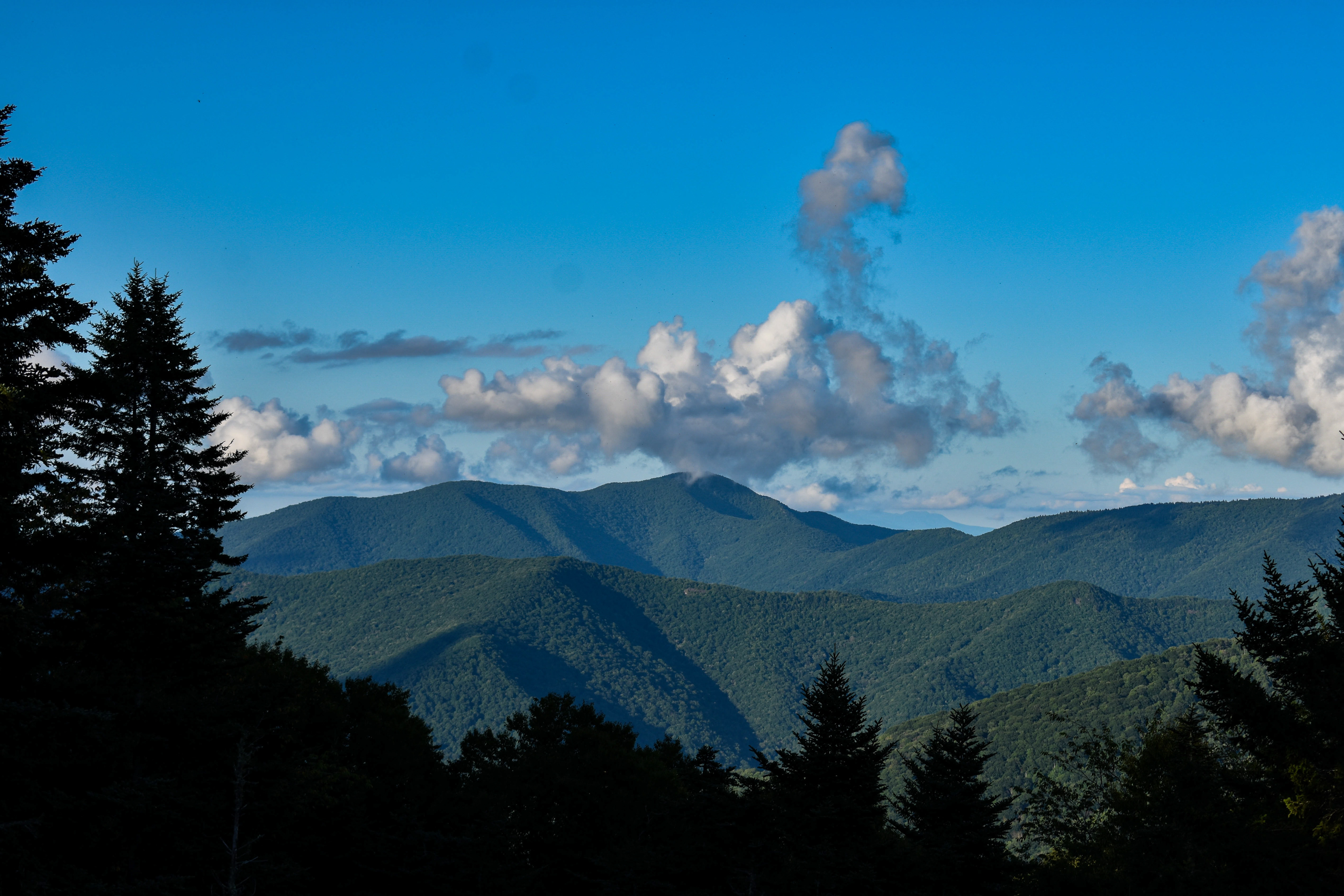 Blue Ridge parkway. Brevard, NC