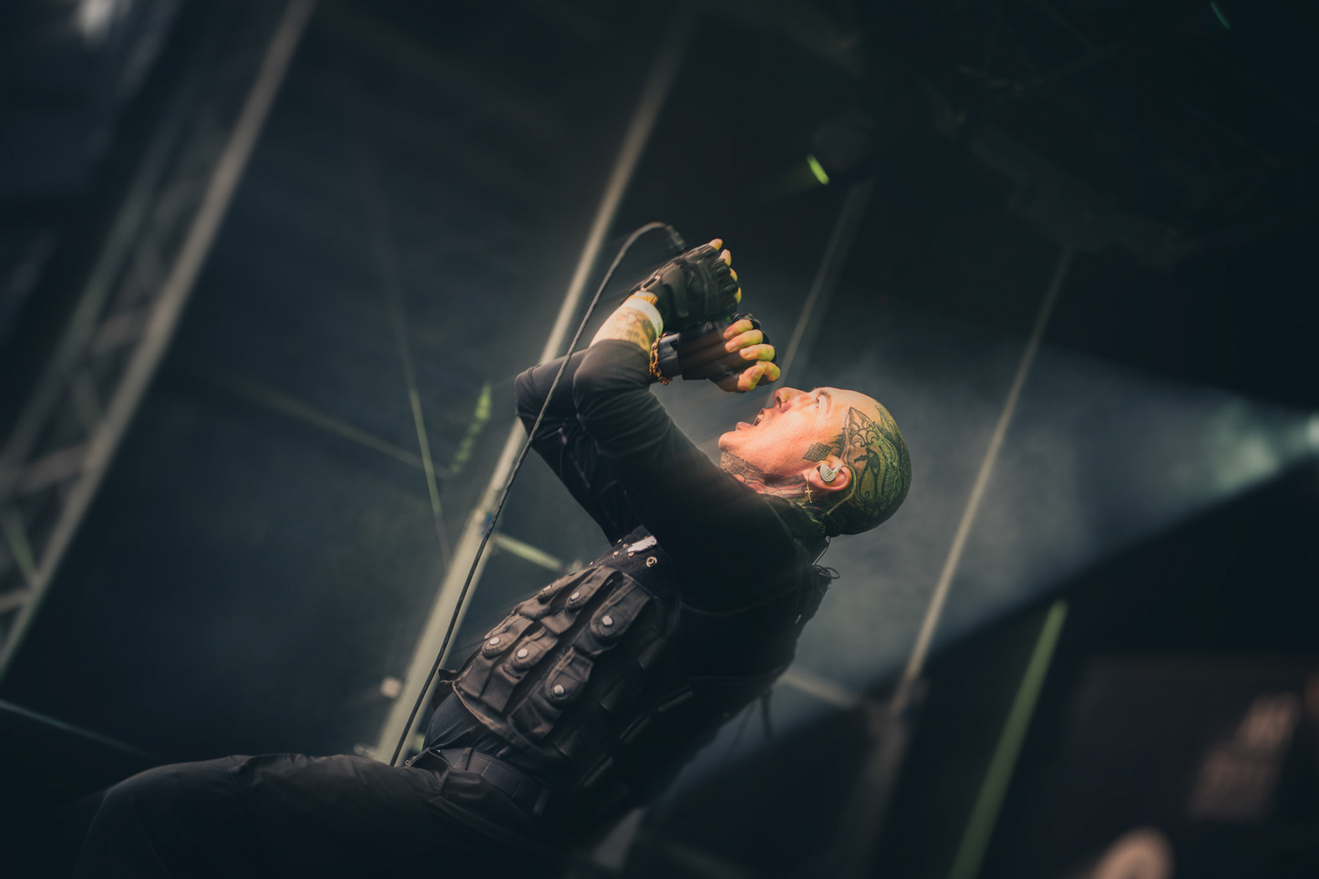 Artemis Rising - Free For All 2025