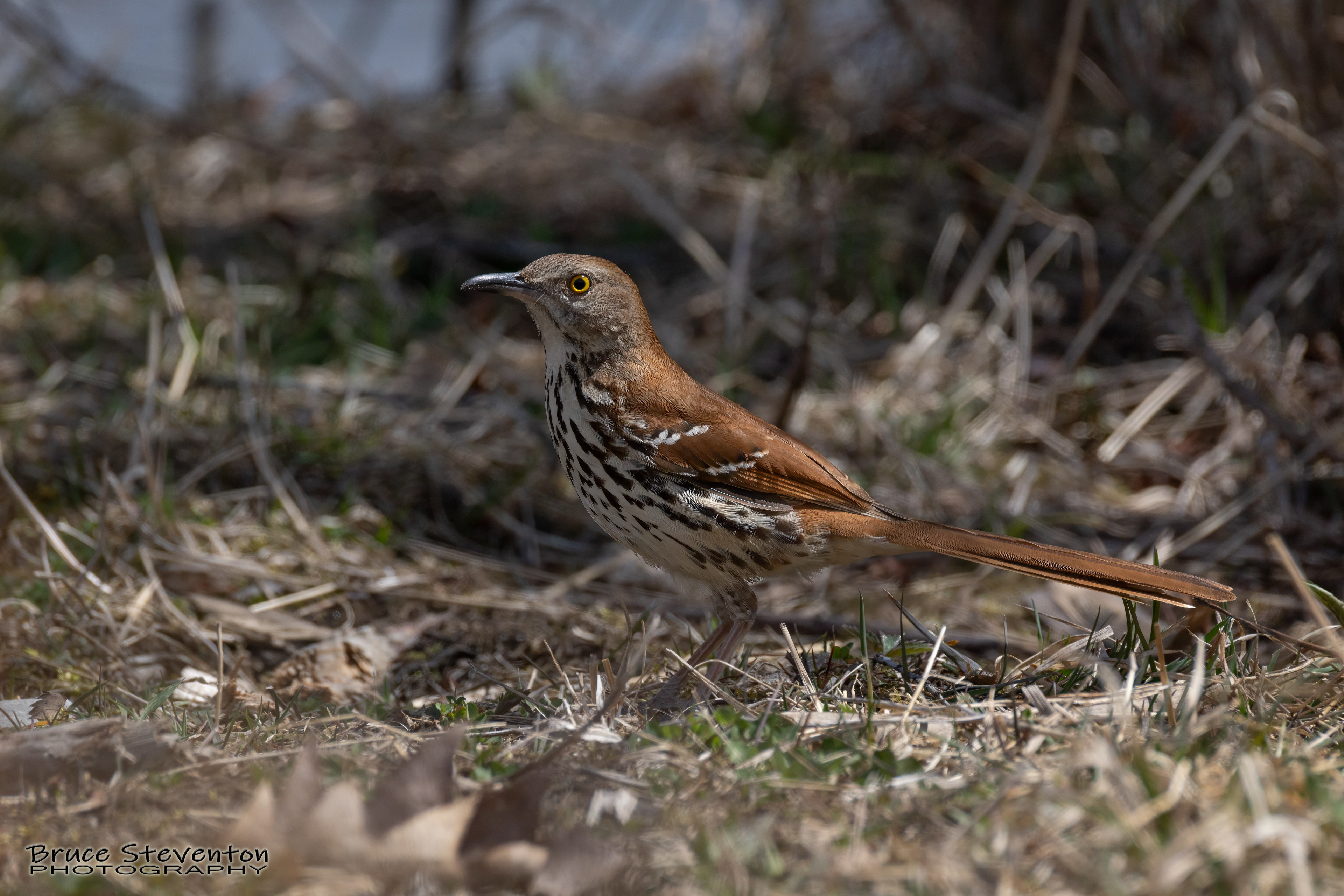 Wilder, VT - 4/22/2022