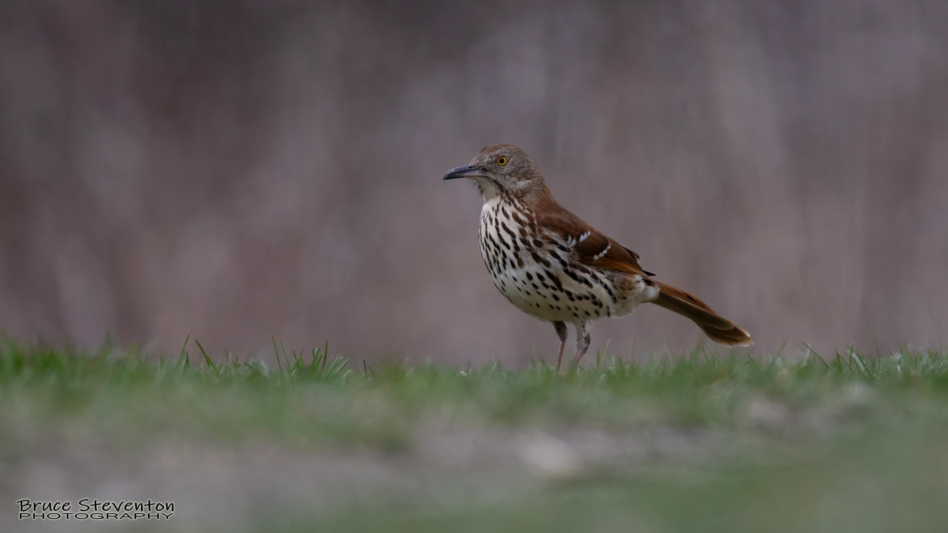 Wilder, VT - 4/22/2022