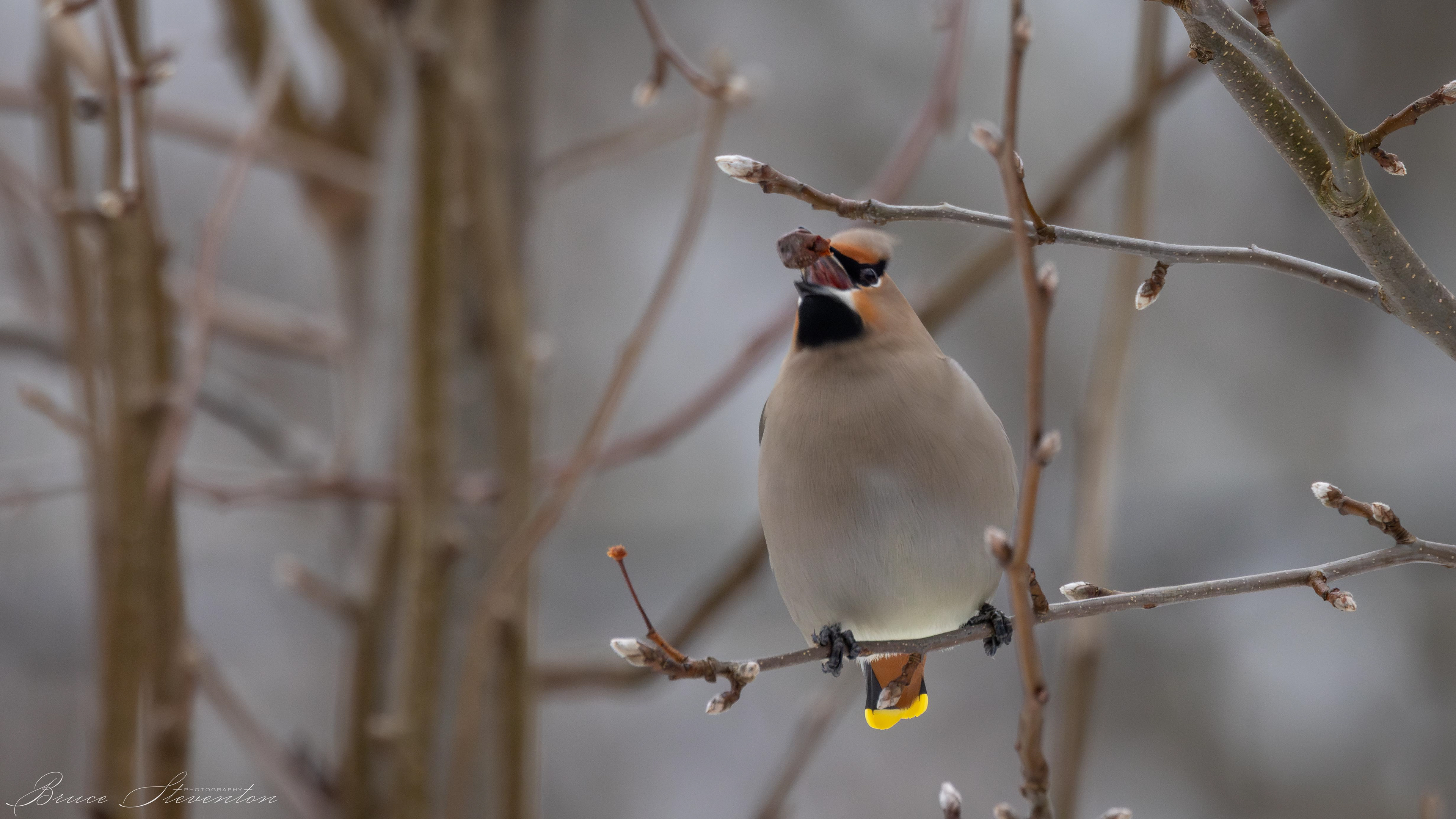 Toss another one down the hatch!