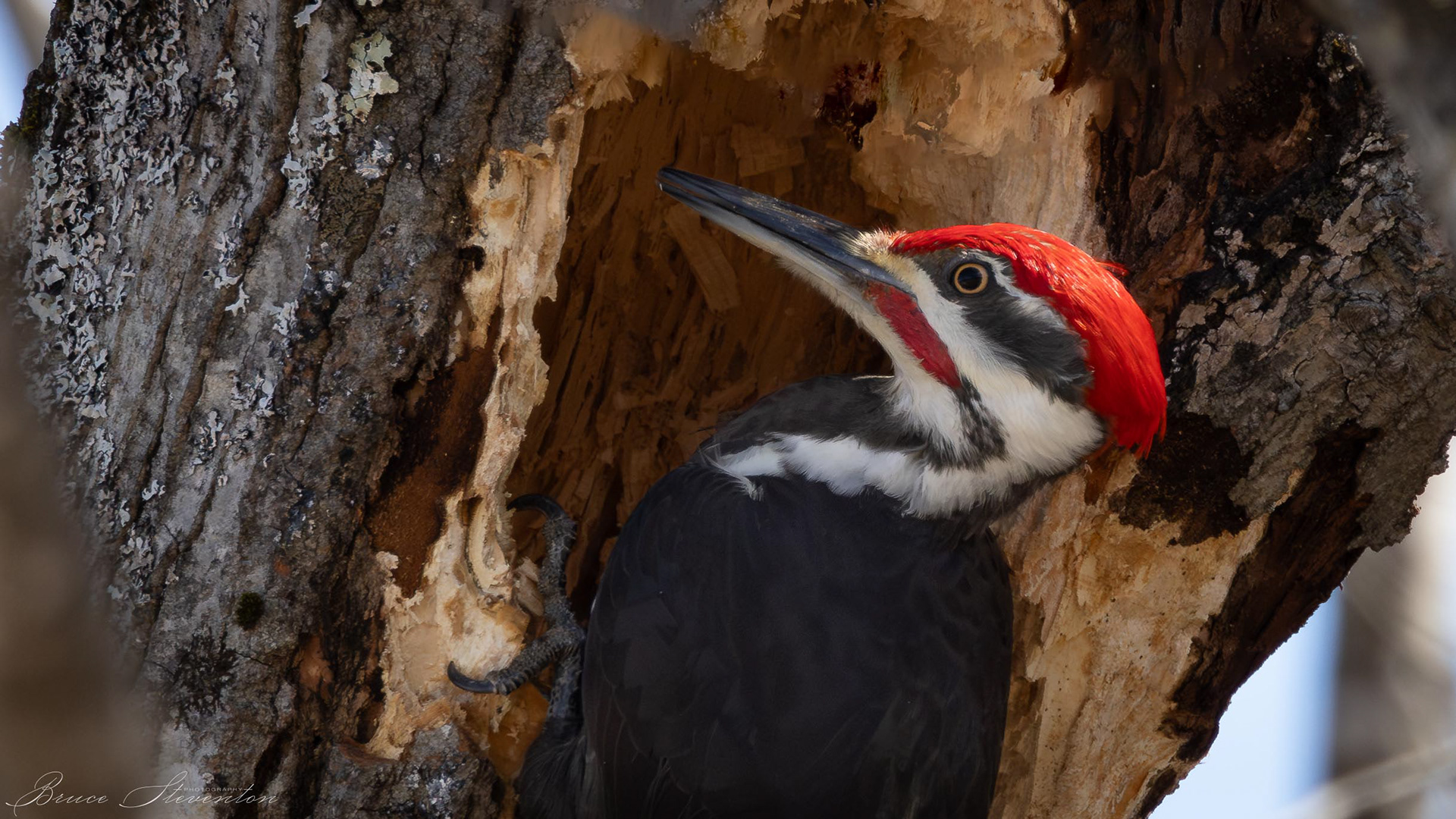 He did most of the excavating 