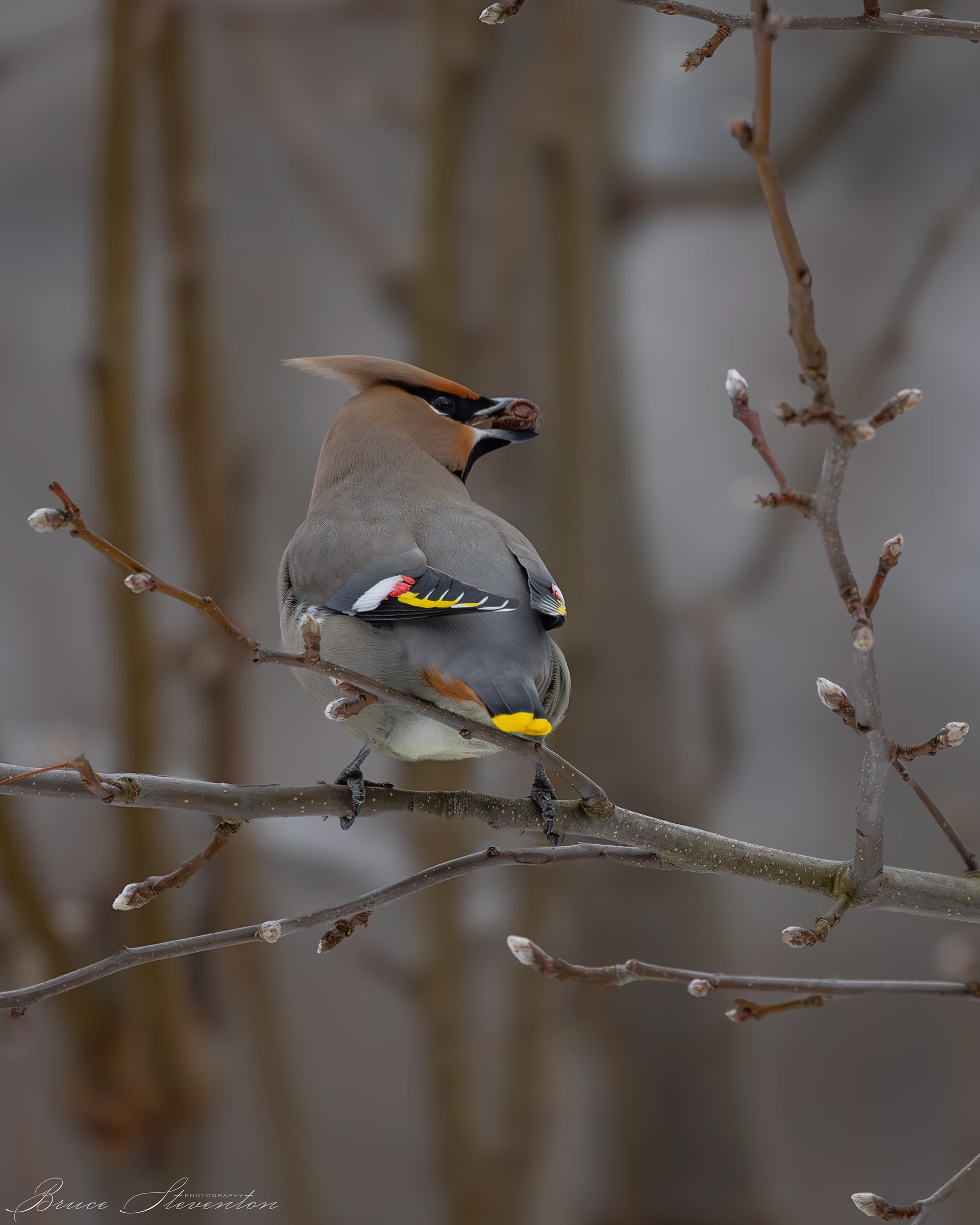 These pears are just the right size.