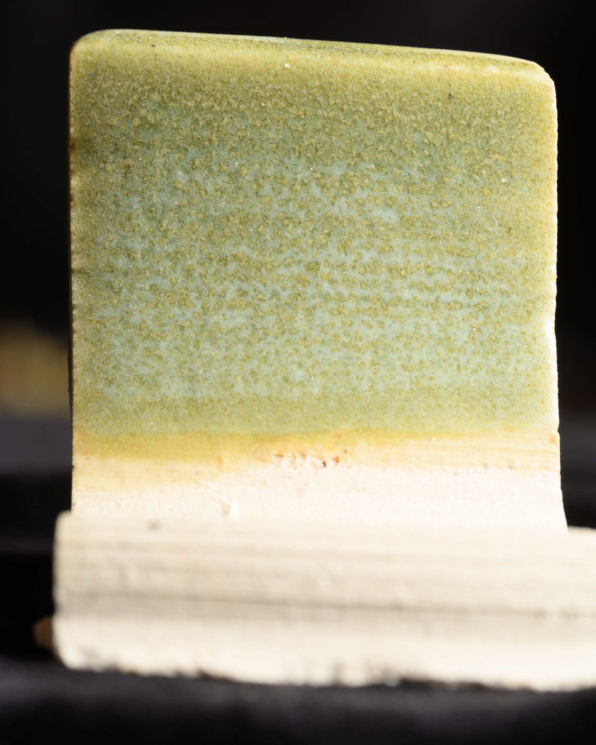 Unicorn, cheesy, white