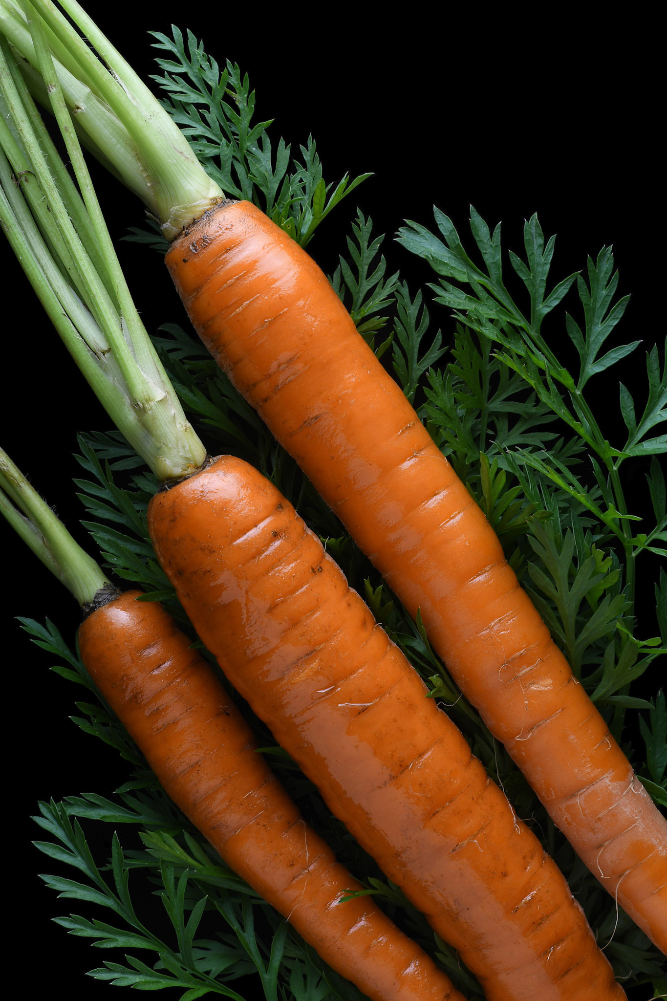 Carrots