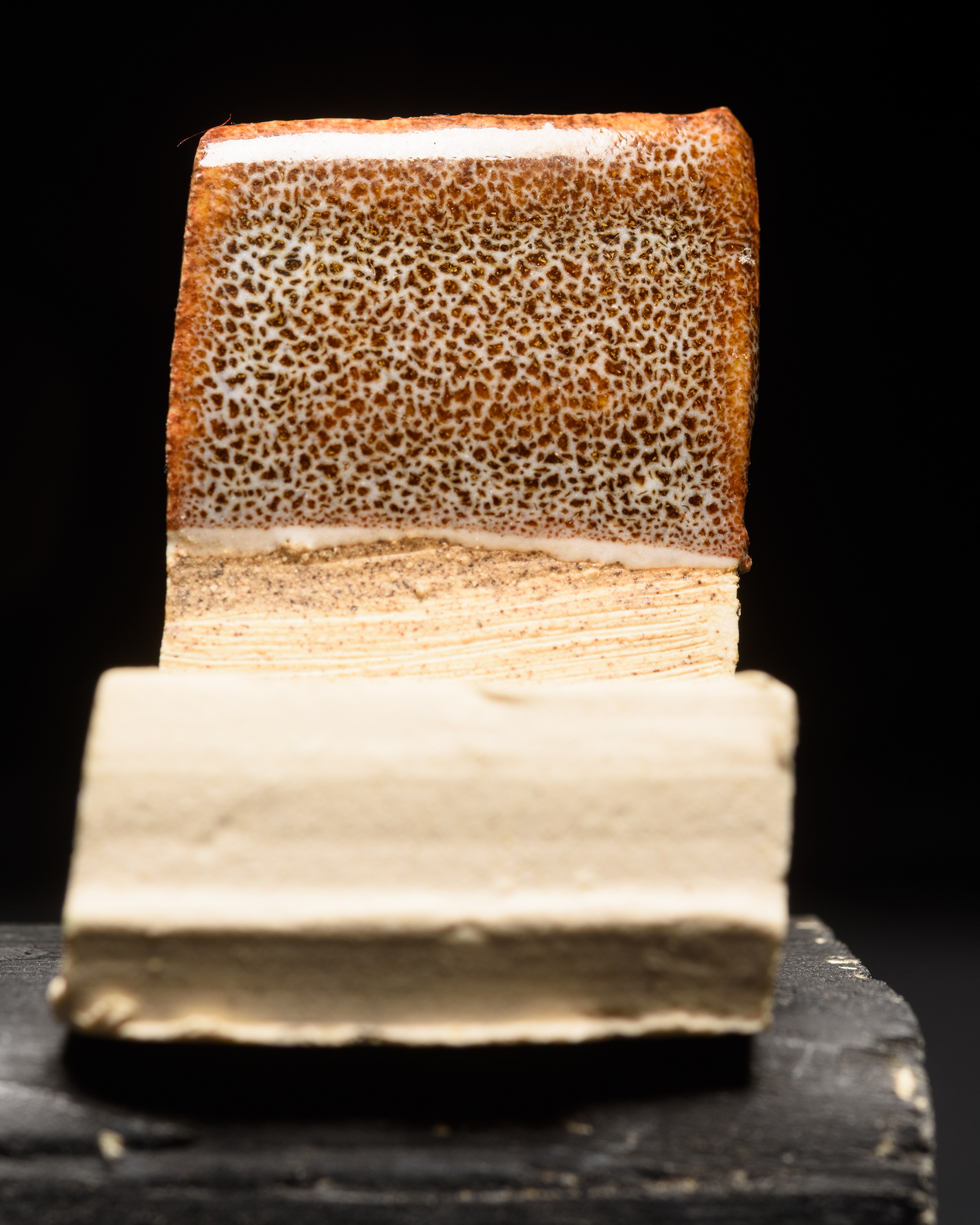 White, Antimatter, White