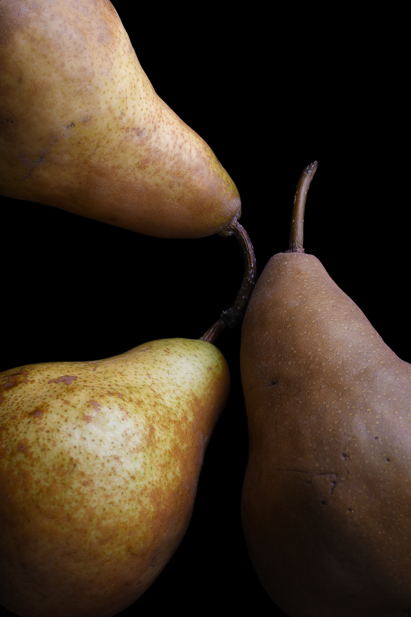 Pears