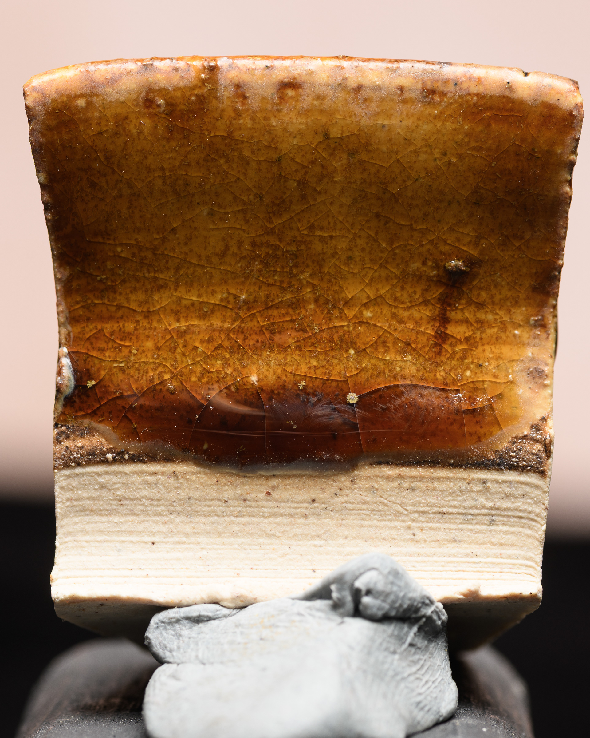 Anti, oak ash diluted 50/50