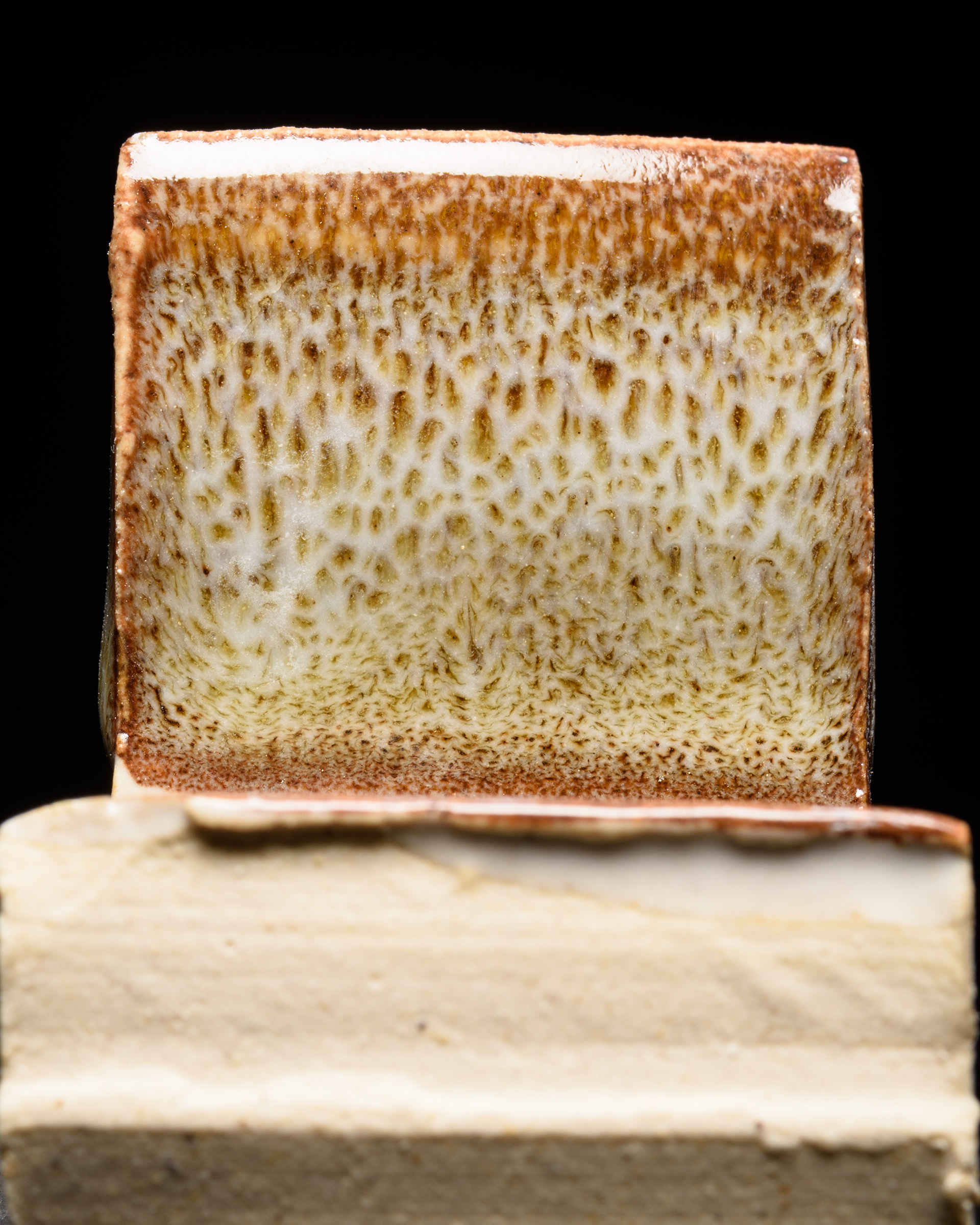 Antimatter, Radbury, White