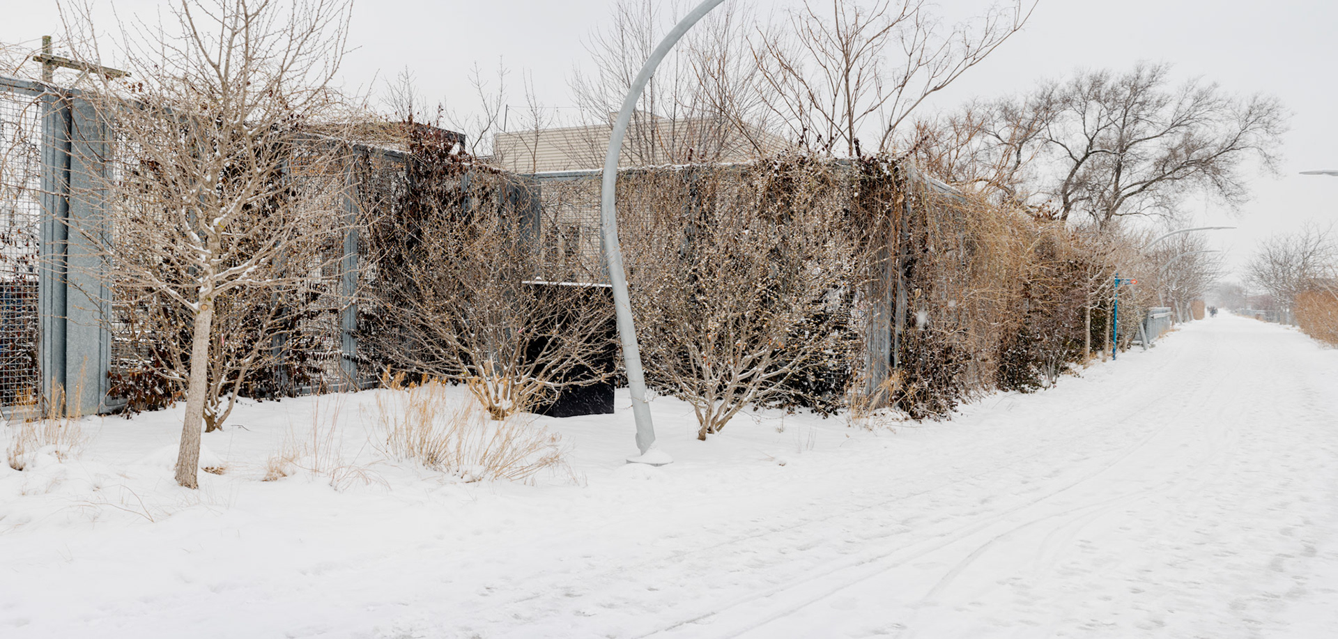 The 606/Bloomingdale Trail - California Ave.