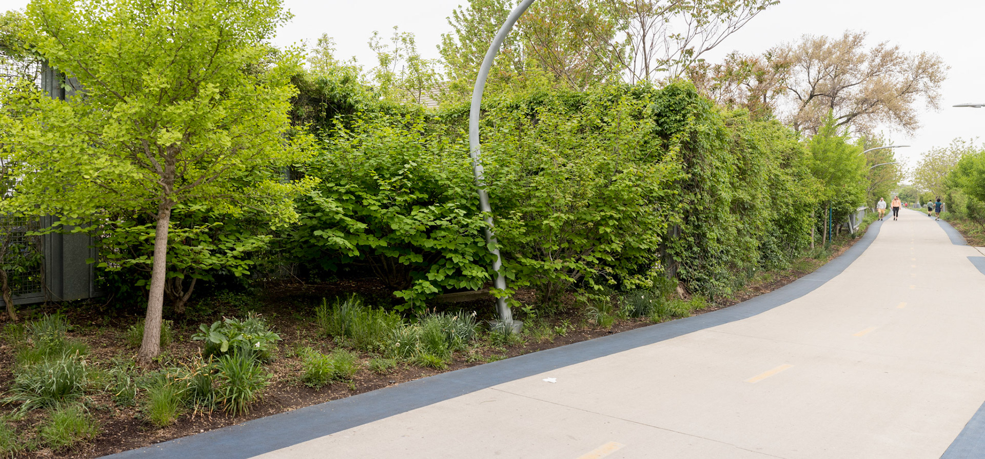 The 606/Bloomingdale Trail - California Ave.