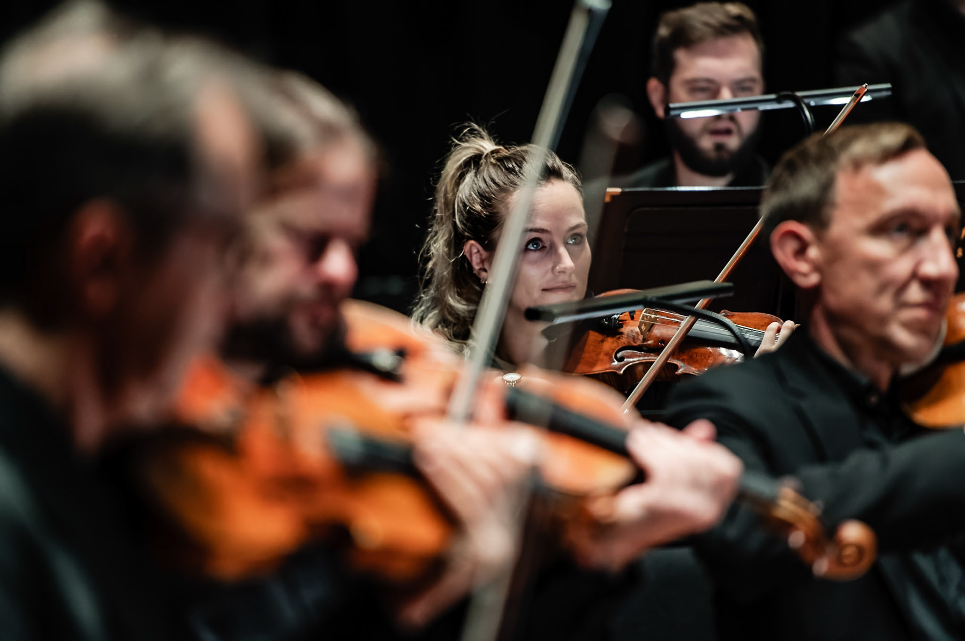 Orpheus Sinfonia  |  2023