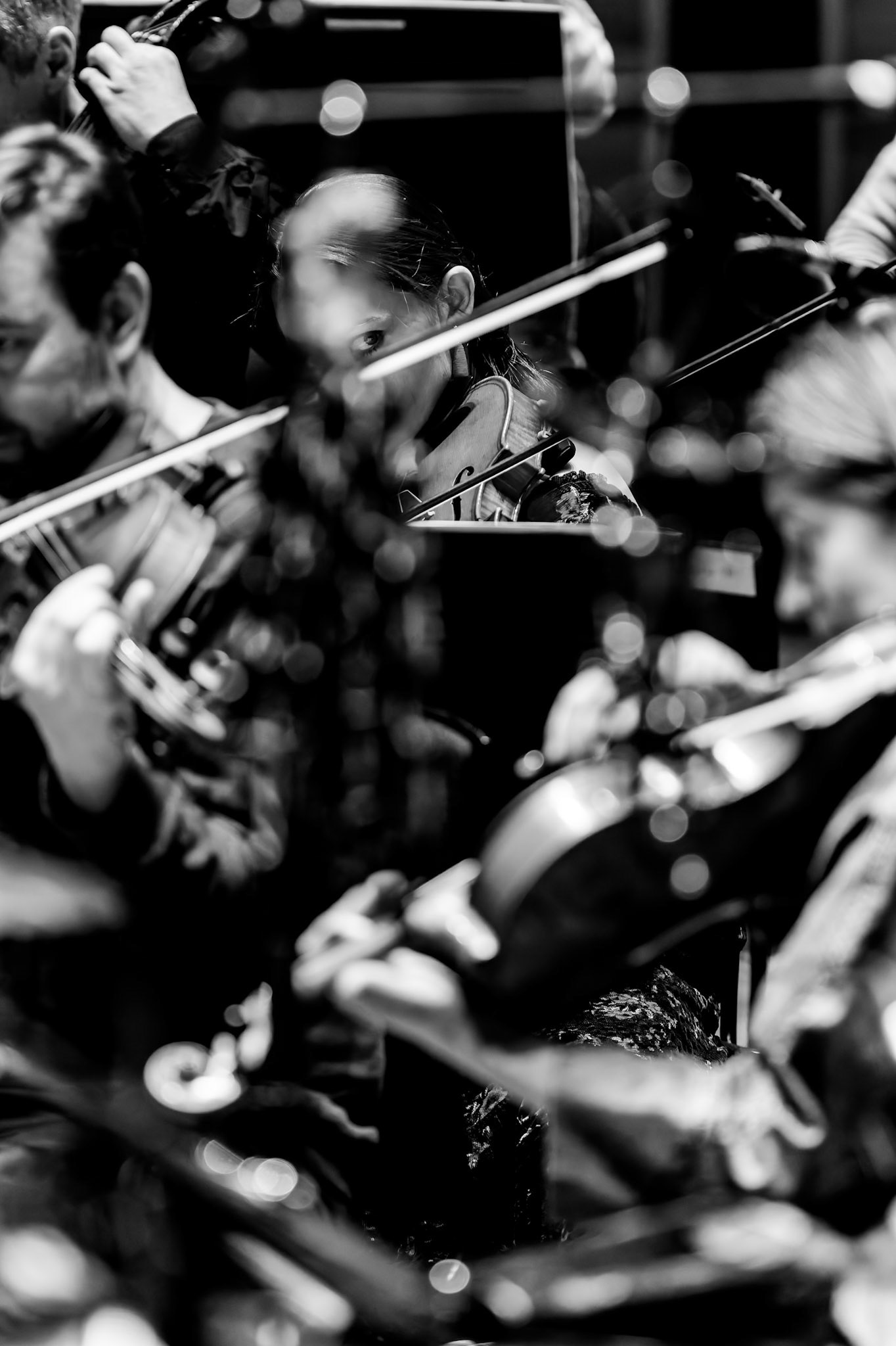 Aurora Orchestra  |  2025