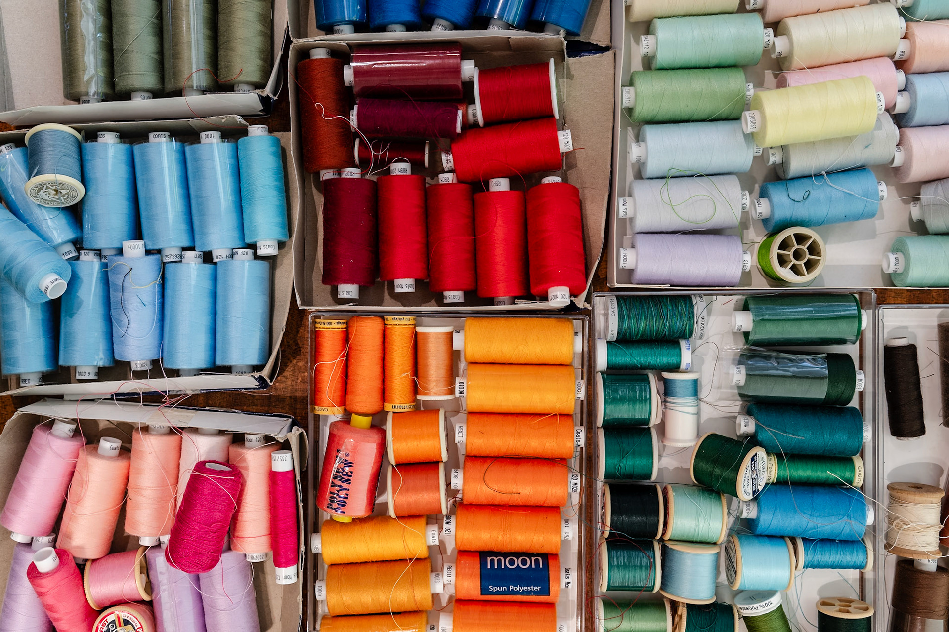 Dorset Opera Festival  |  2025