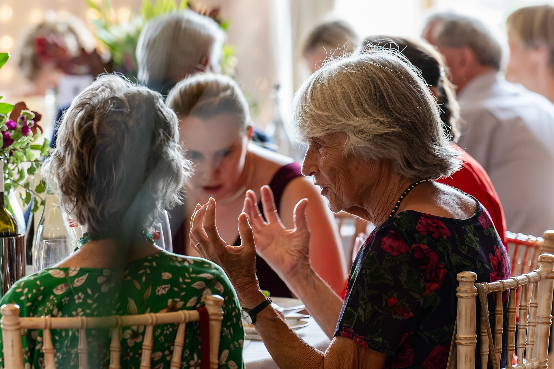 Dorset Opera Festival  |  2025