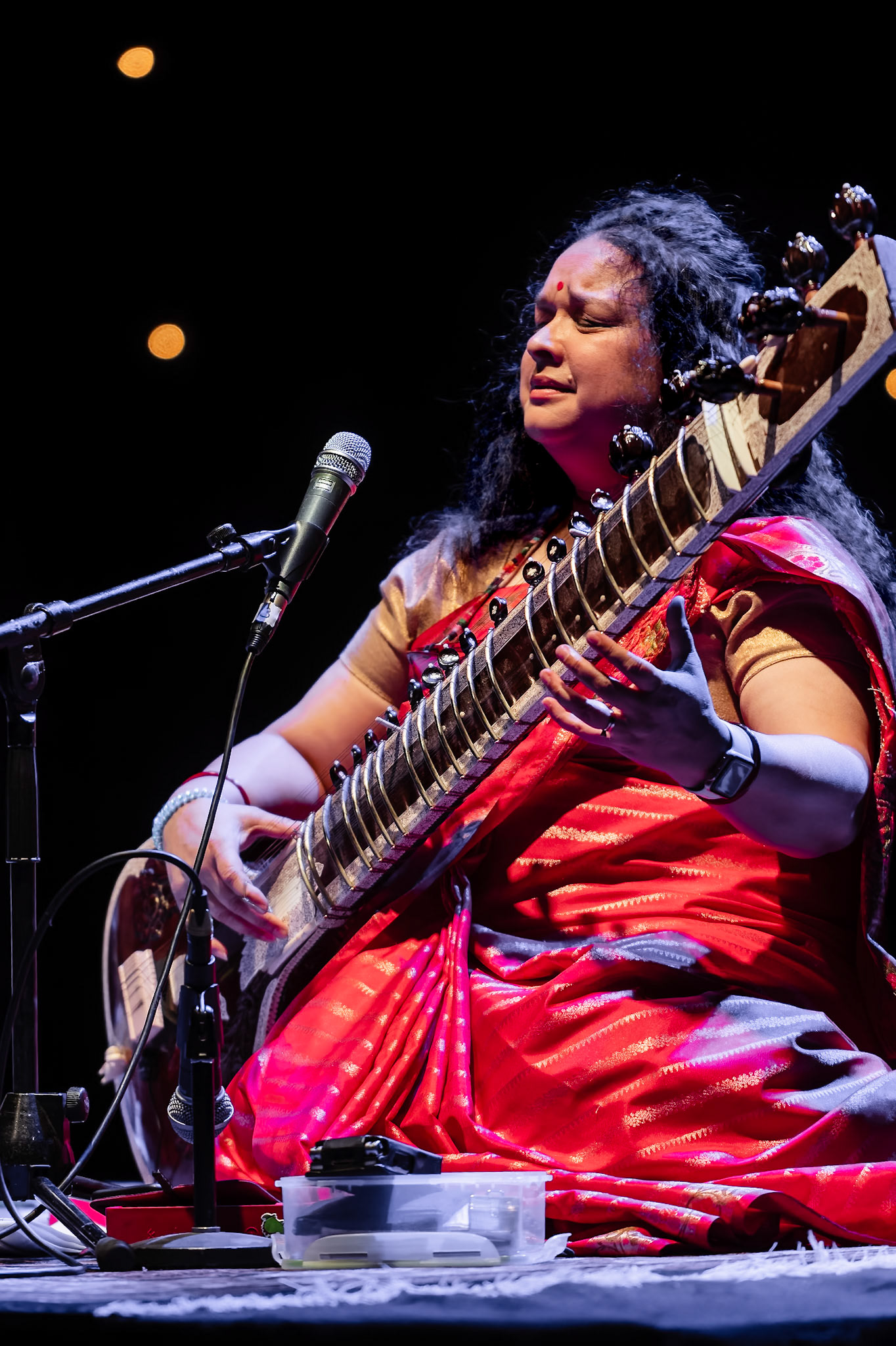 Diwali event  |  2025