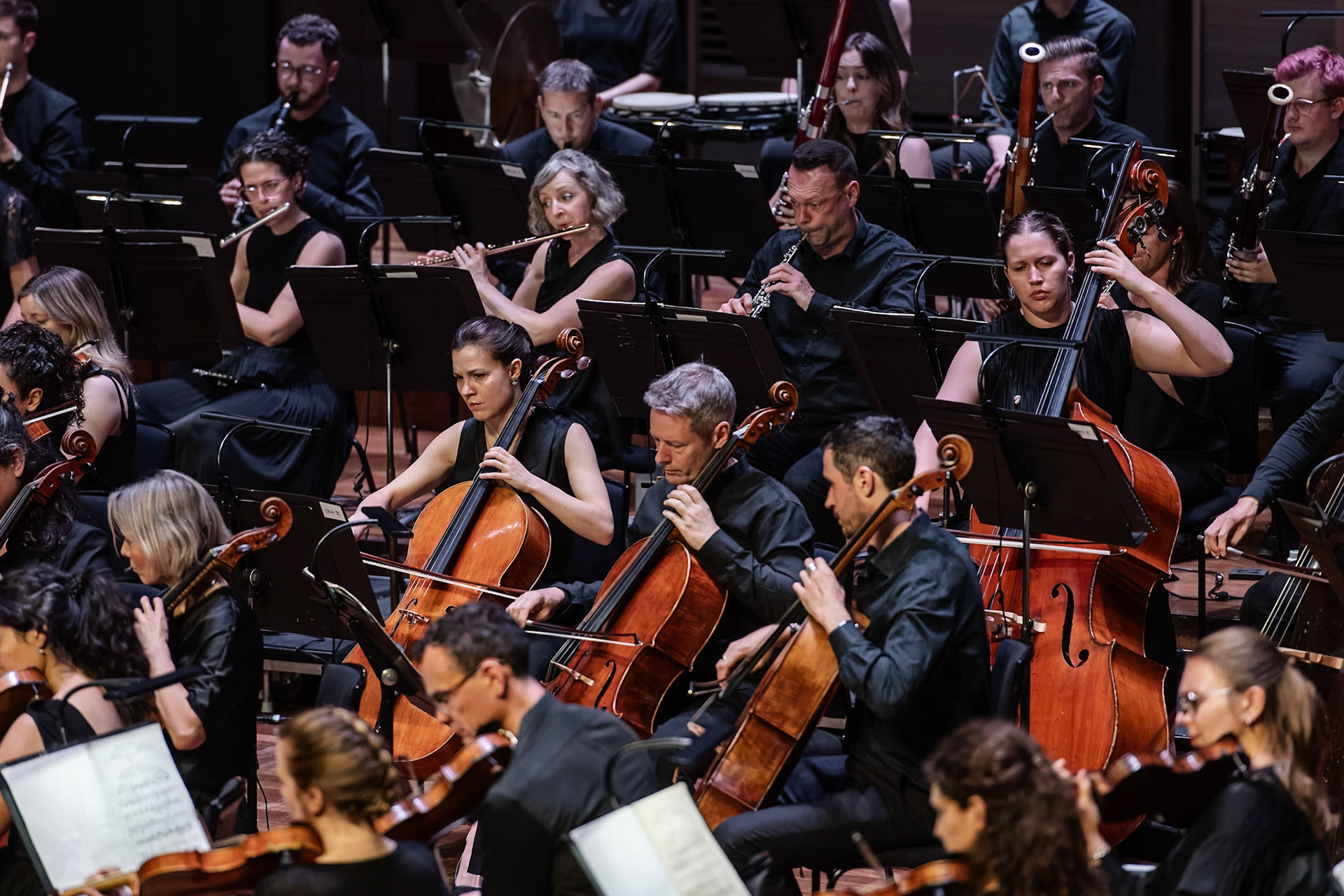 Aurora Orchestra  |  2025