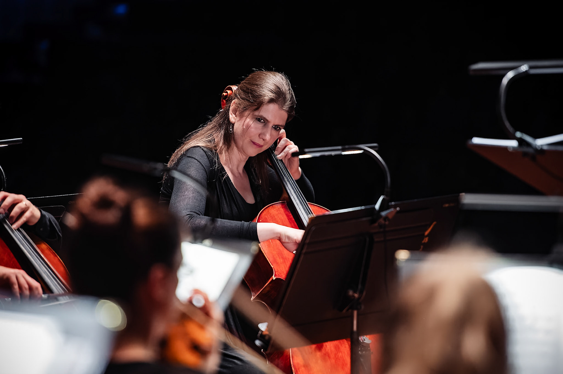 Orpheus Sinfonia  |  2023