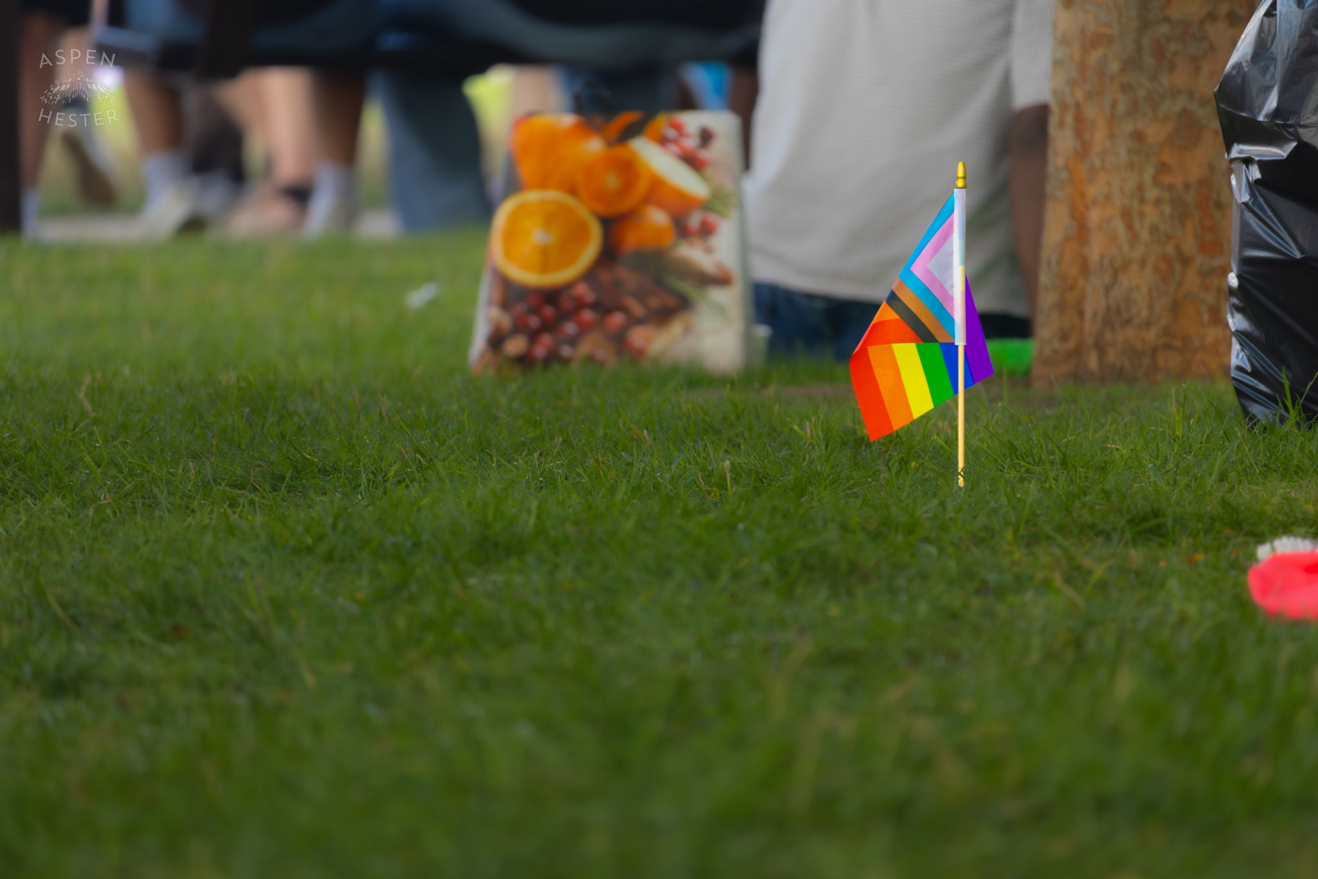 A Pride Flag in The Ground at Kentuckiana Pride 2025. June 21th, 2025/Aspen Hester 