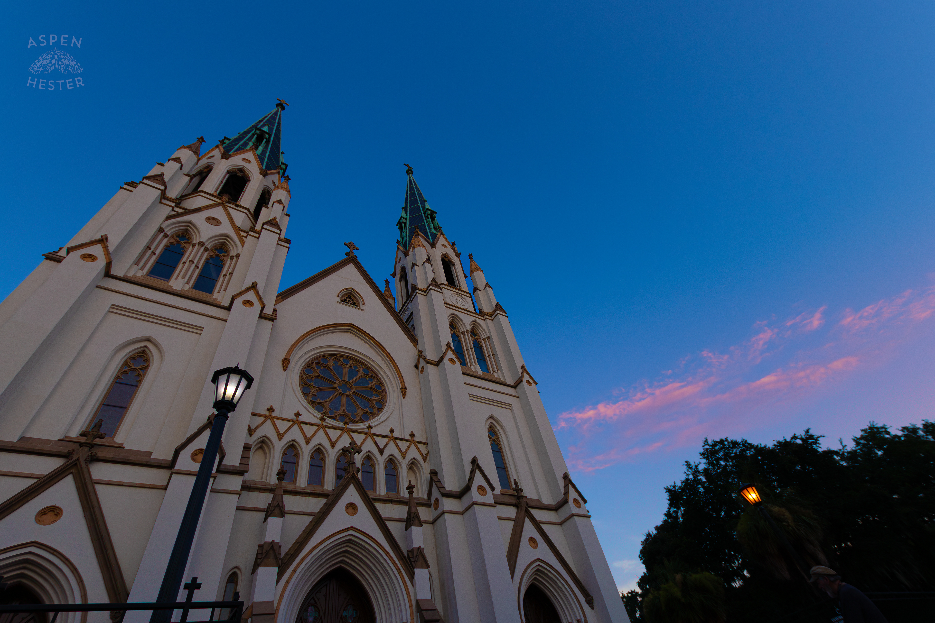 The Cathedral of St. John the Baptist Savannah Georgia. June 24th, 2024/Aspen Hester