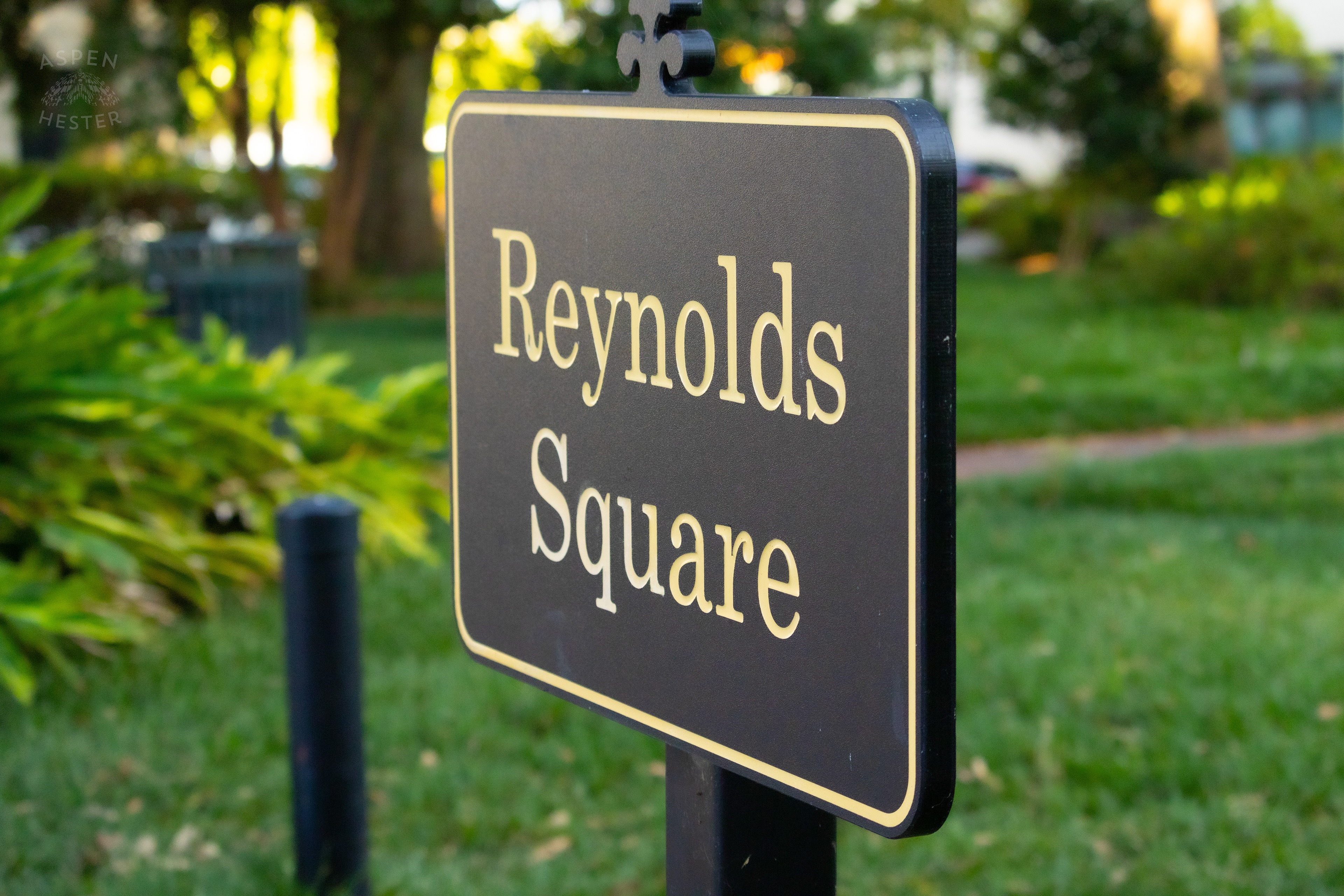 Savannah Georgia's Reynolds Square. June 24th, 2024/Aspen Hester