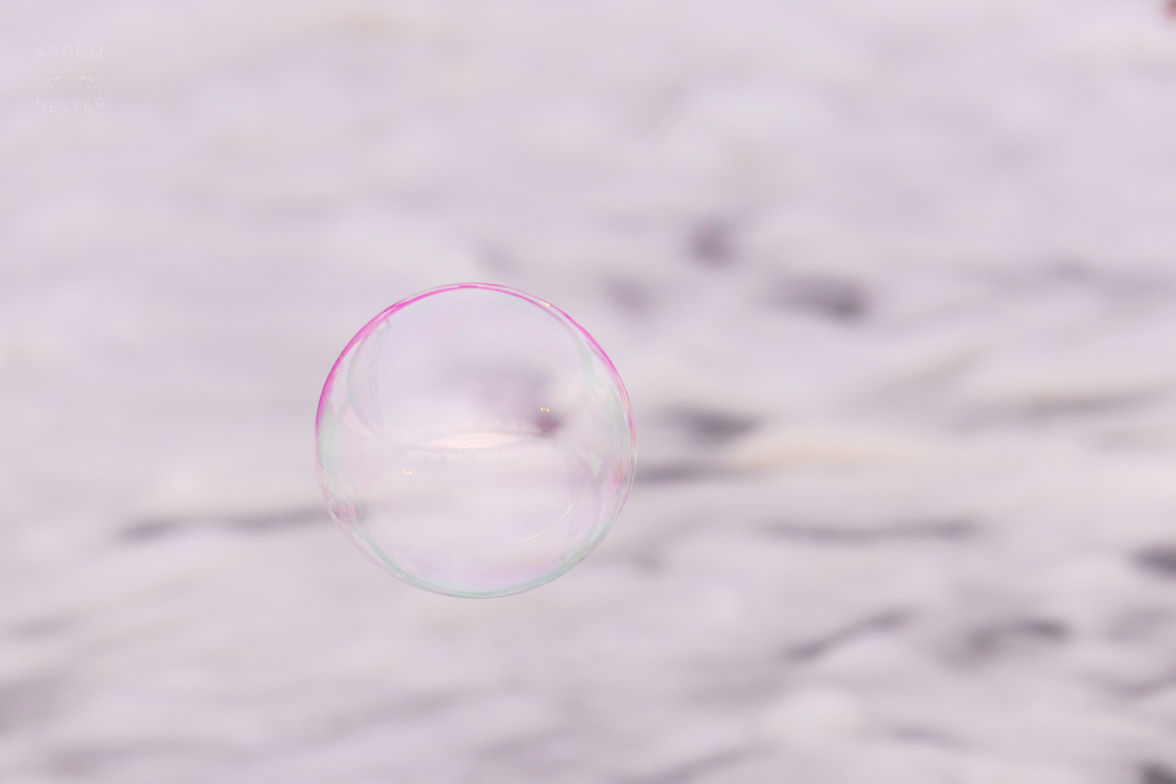 Bubble from the Bubble Party at Waterfront Park Fourth of July. July 4th, 2024/Aspen Hester