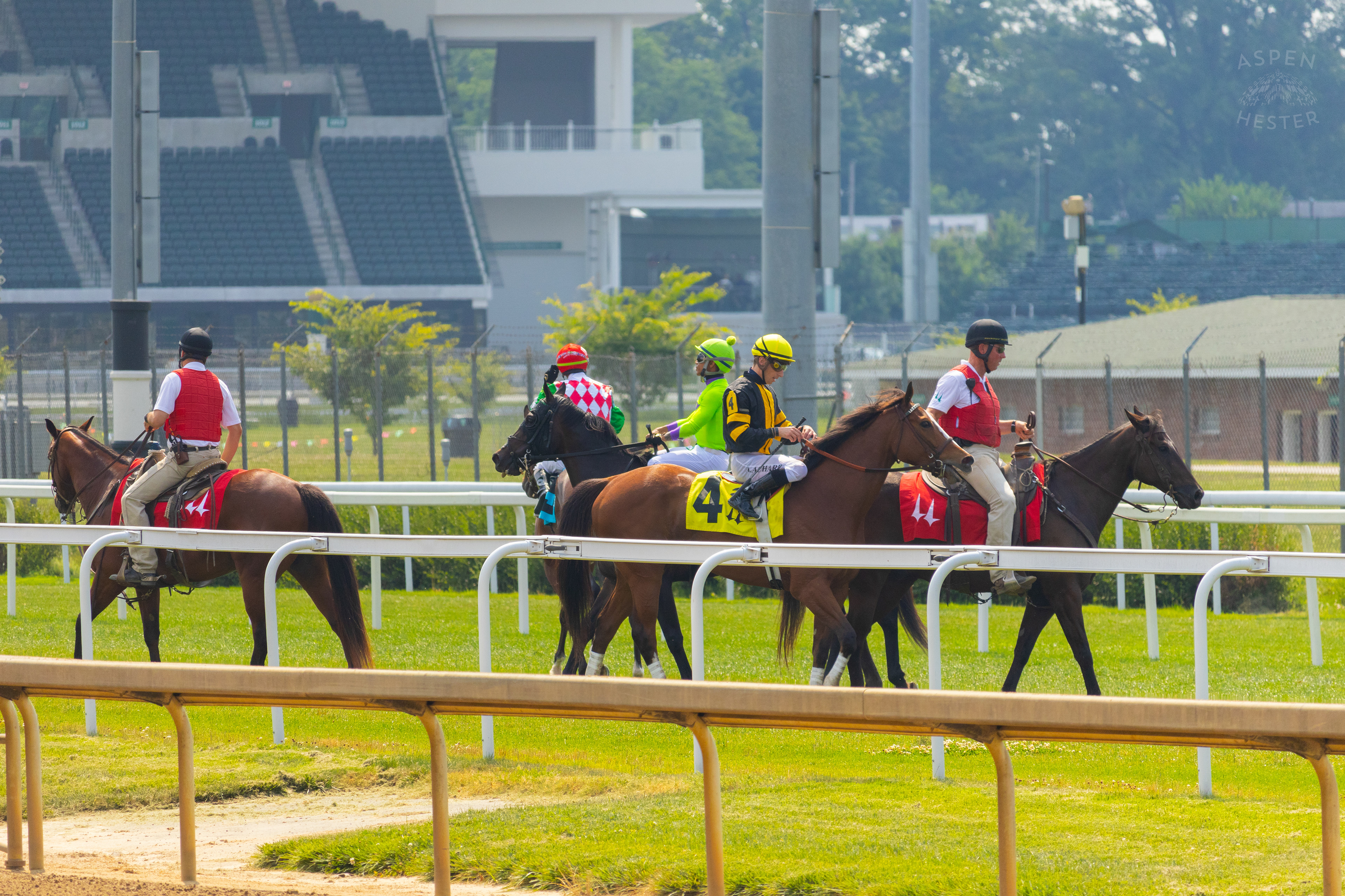 Horses Cooling Down After Racing. June 21st, 2024/Aspen Hester