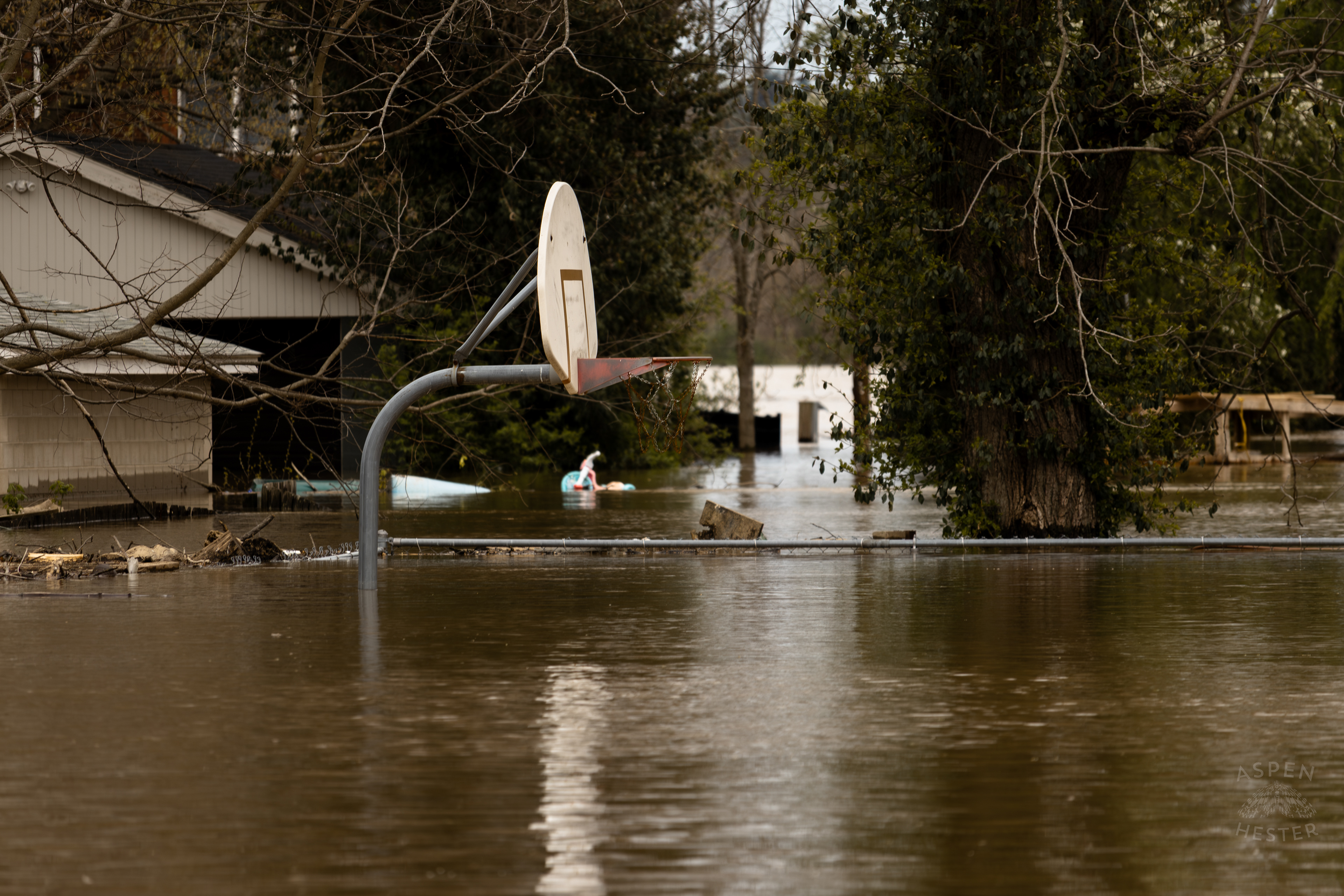 A Basketball Hoop Inundated Nearly to Its Net Amid The Historic Flooding in Utica Indiana. April 9th, 2025/Aspen Hester