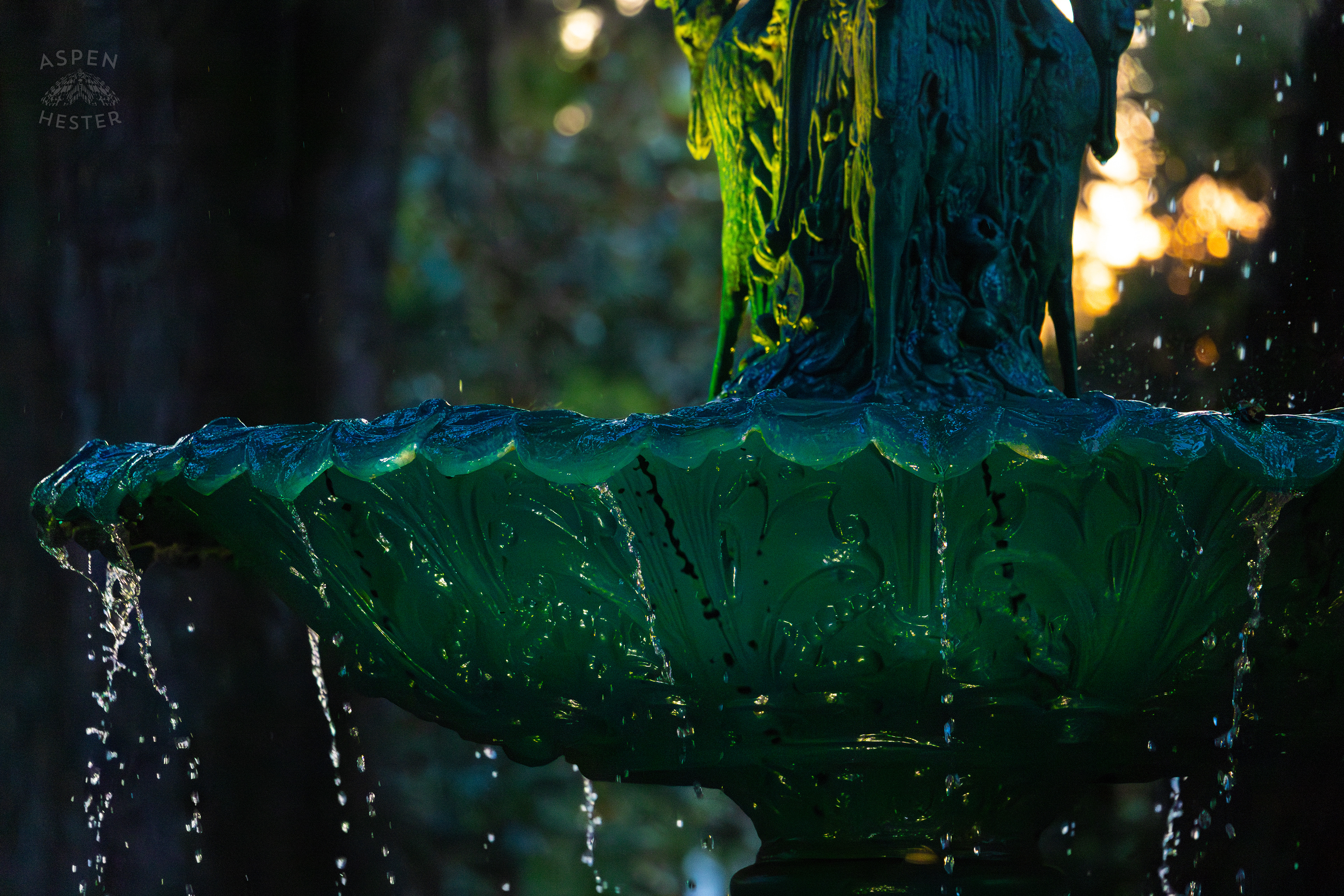 Fountain Outside The Hamilton-Turner Mansion Savannah Georgia. June 24th, 2024/Aspen Hester