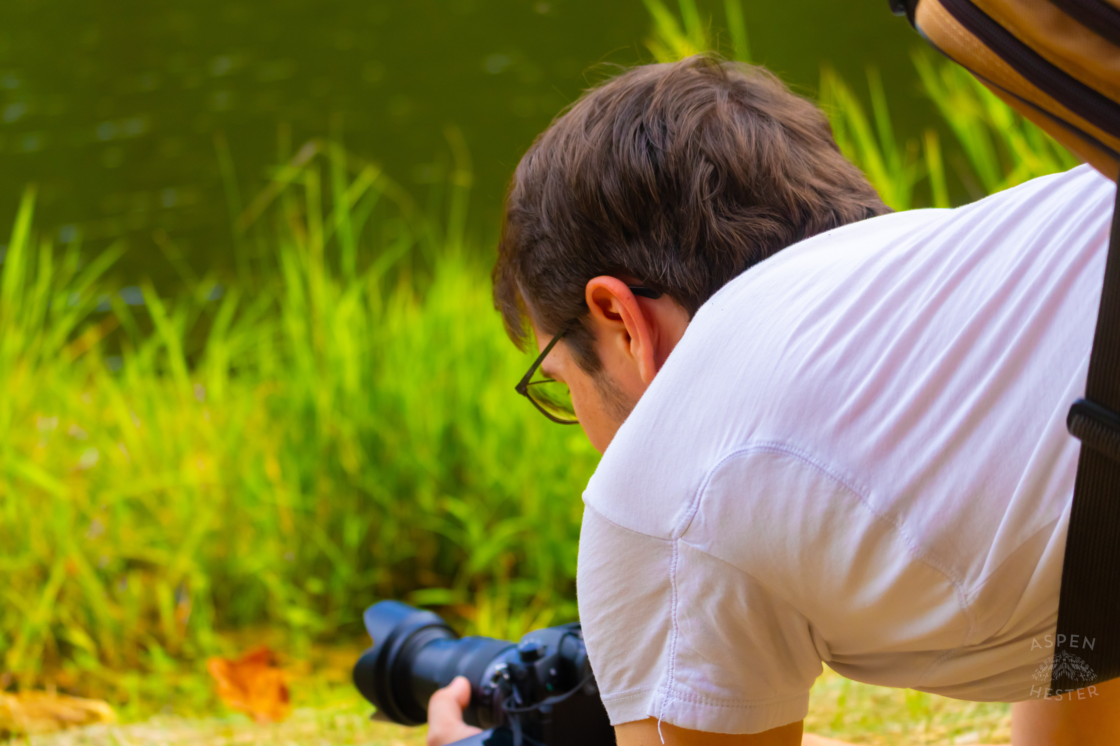 Some Cute Dude Photographing A Widow Skimmer Dragonfly Perched on a Branch on The Shore of Tom Wallace Lake Inside Jefferson Memorial Forest. September 3rd, 2024/Aspen Hester