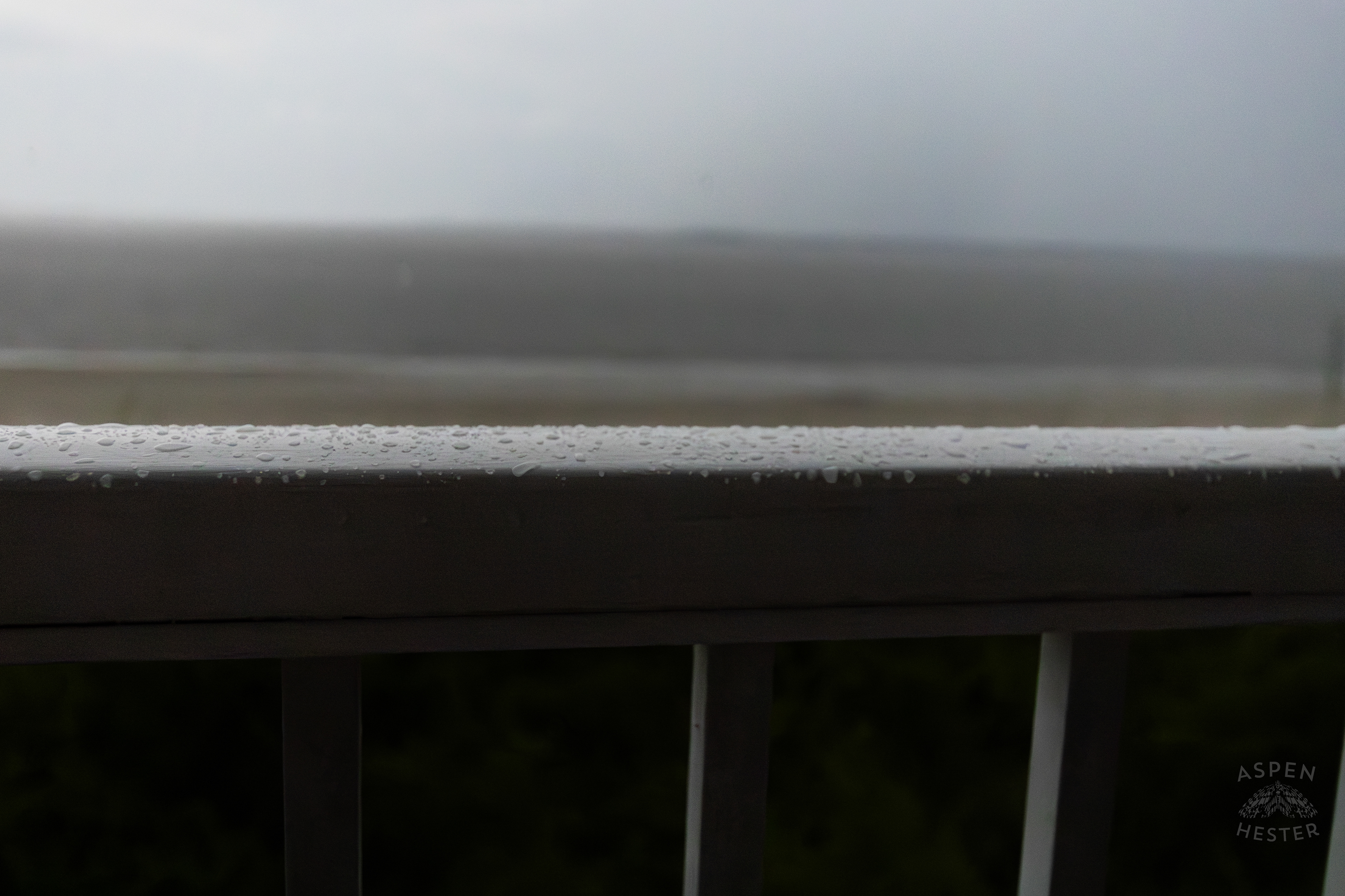 Rain Drops on Tybee Island Georgia. June 27th, 2024/Aspen Hester