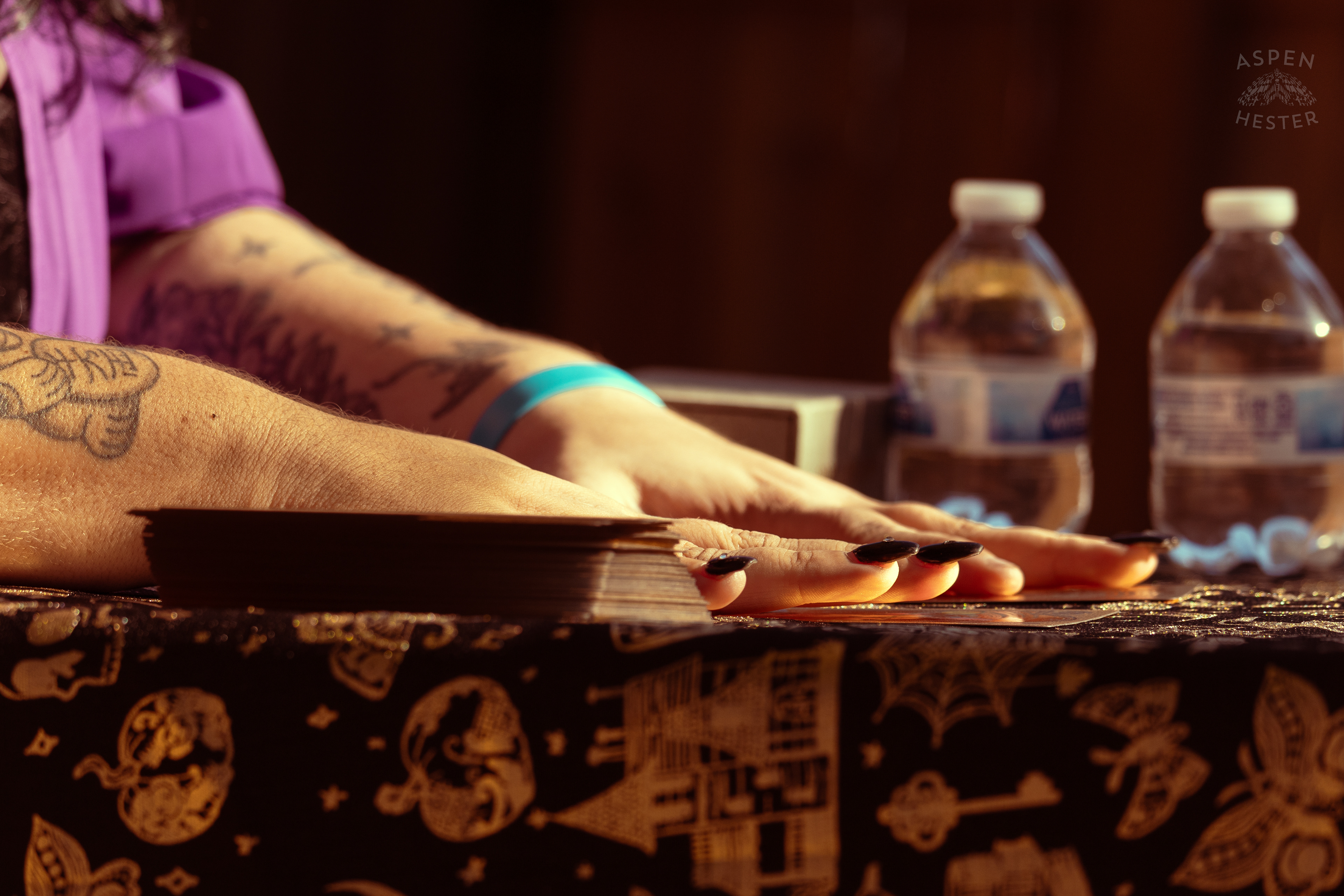 Tarot Readings at Stacey Edrington’s Yearly Witches Brunch in Mt. Washington. October 26th, 2024/Aspen Hester