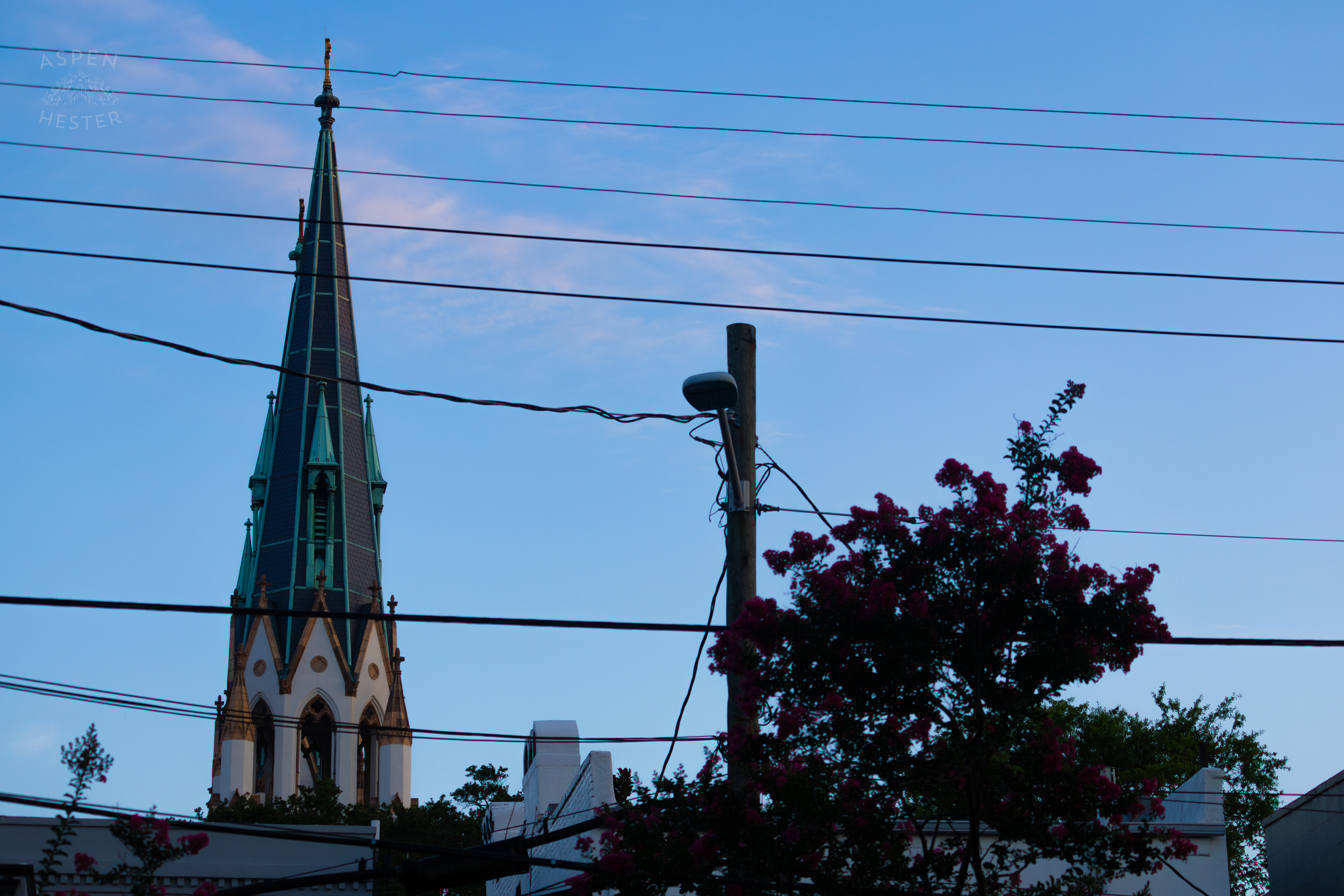 The Cathedral of St. John the Baptist Savannah Georgia. June 24th, 2024/Aspen Hester