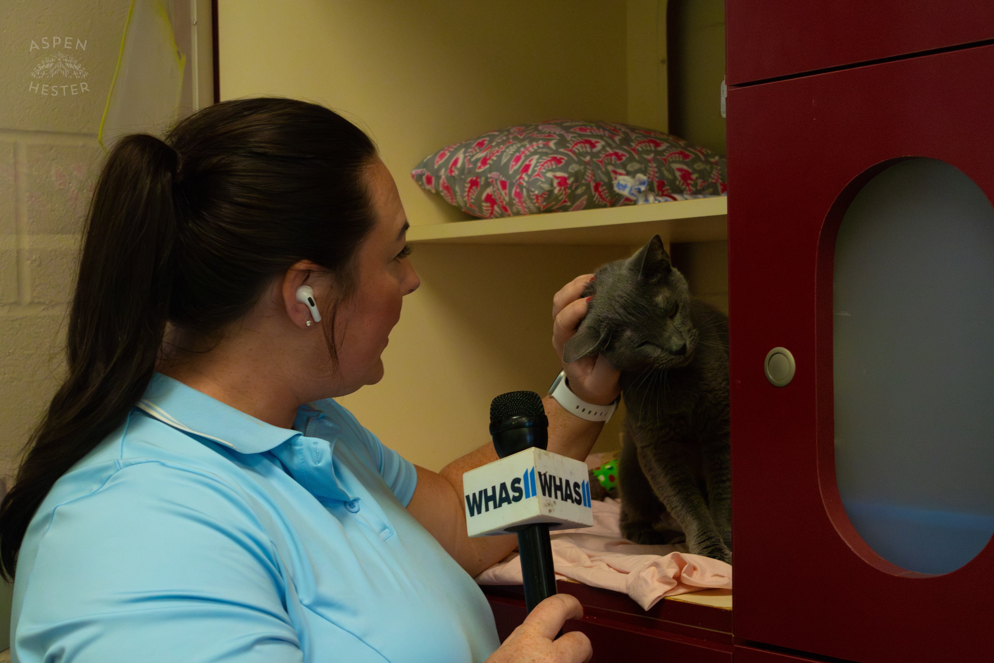 WHAS-11's Shay McAlister and Kitty Warsh During A Telethon that Raised $8000+ for Louisville Metro Animal Services. August 28th, 2024/Aspen Hester