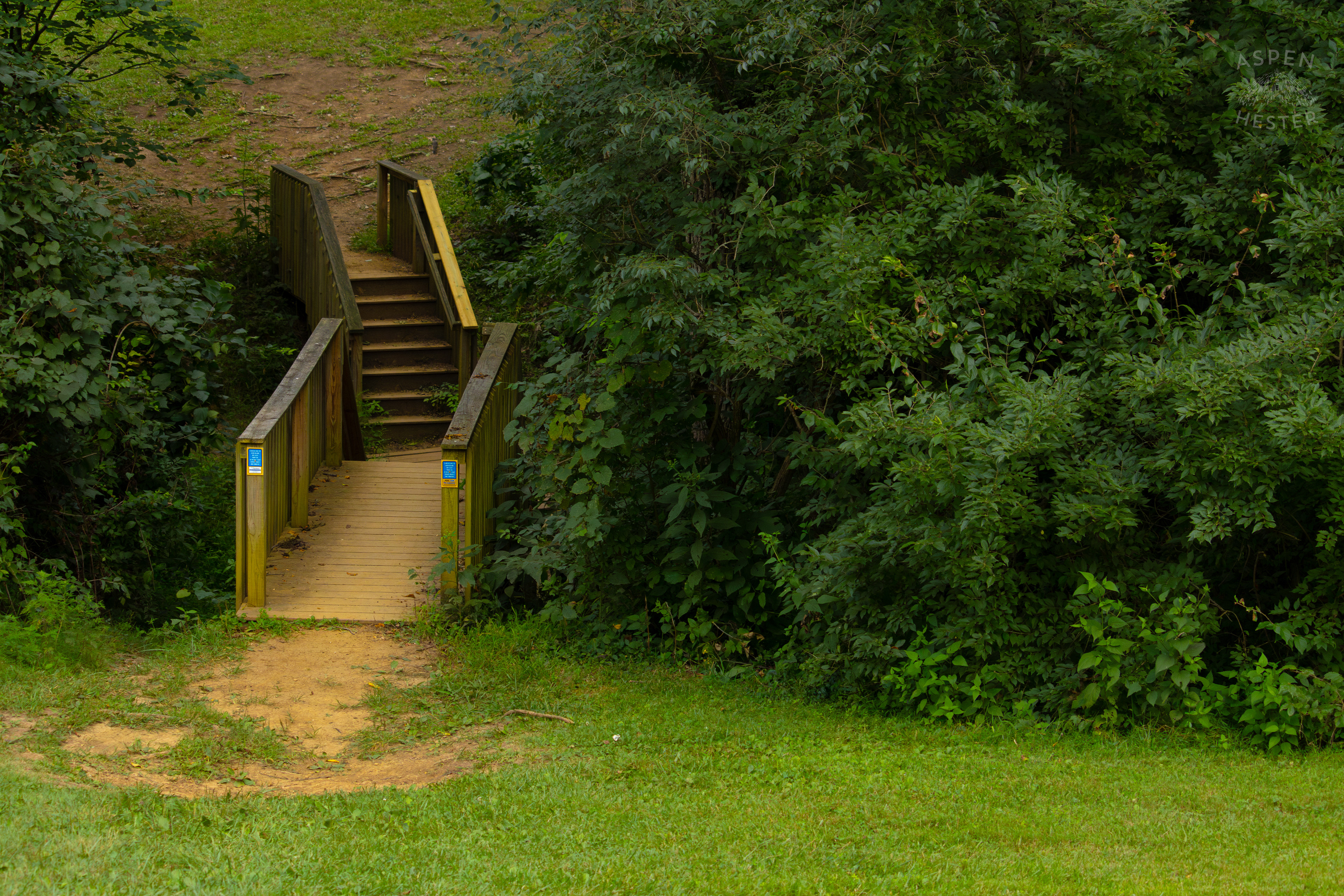 Bridge Over The Creek in Wendell Moore Park. August 12th, 2024/Aspen Hester