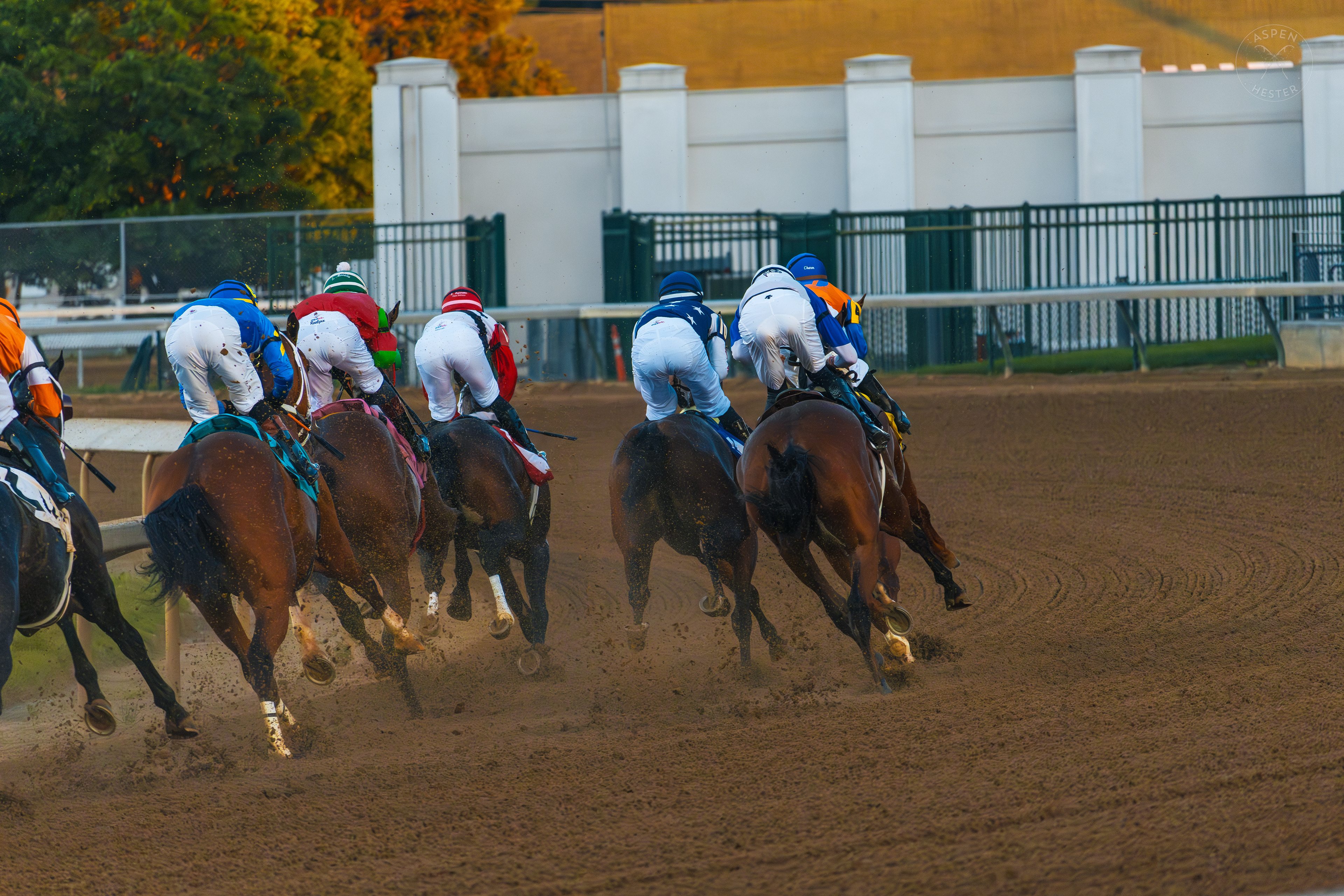 Horses Racing at Downs After Dark. May 18th, 2024/Aspen Hester