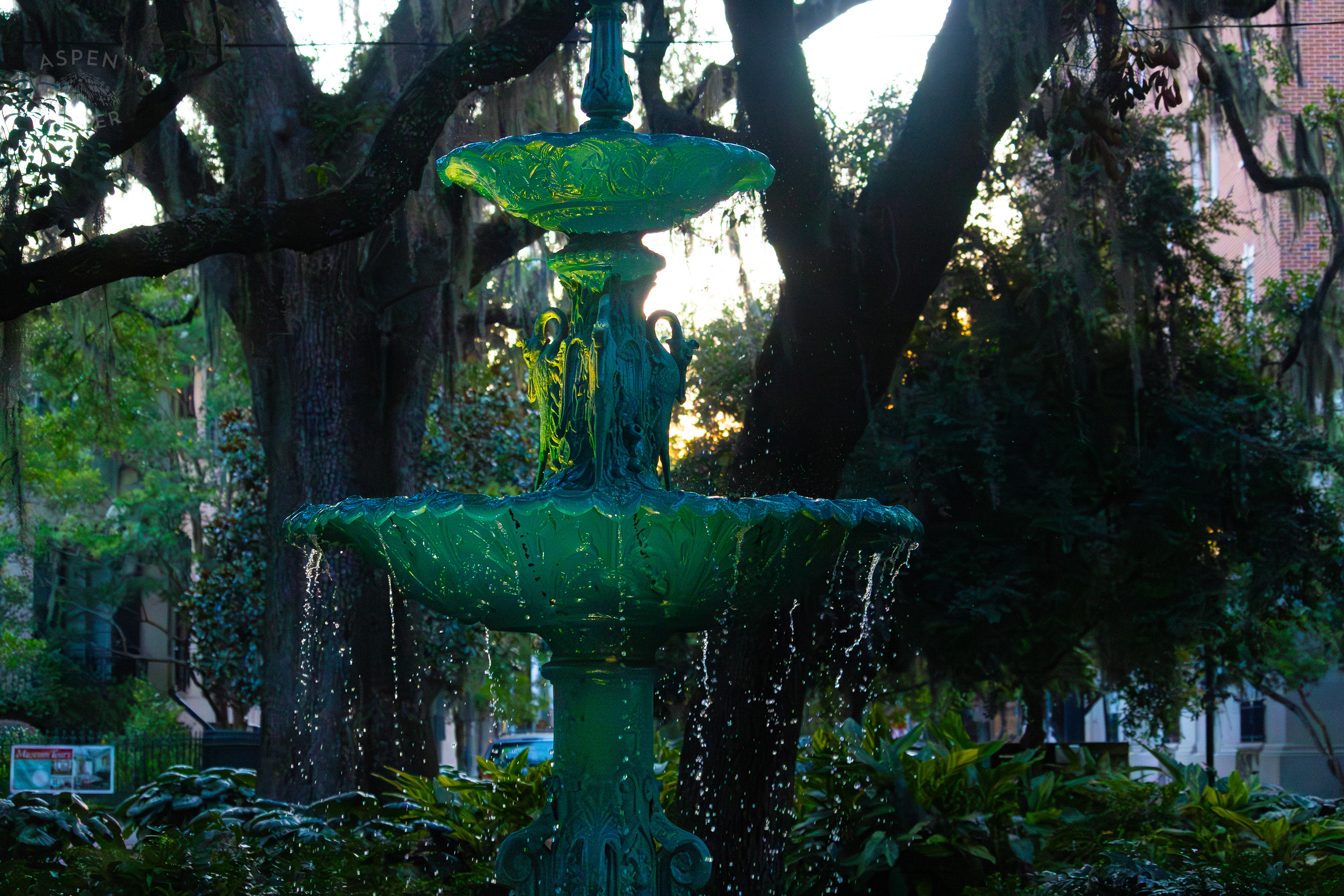 Fountain Outside The Hamilton-Turner Mansion Savannah Georgia. June 24th, 2024/Aspen Hester
