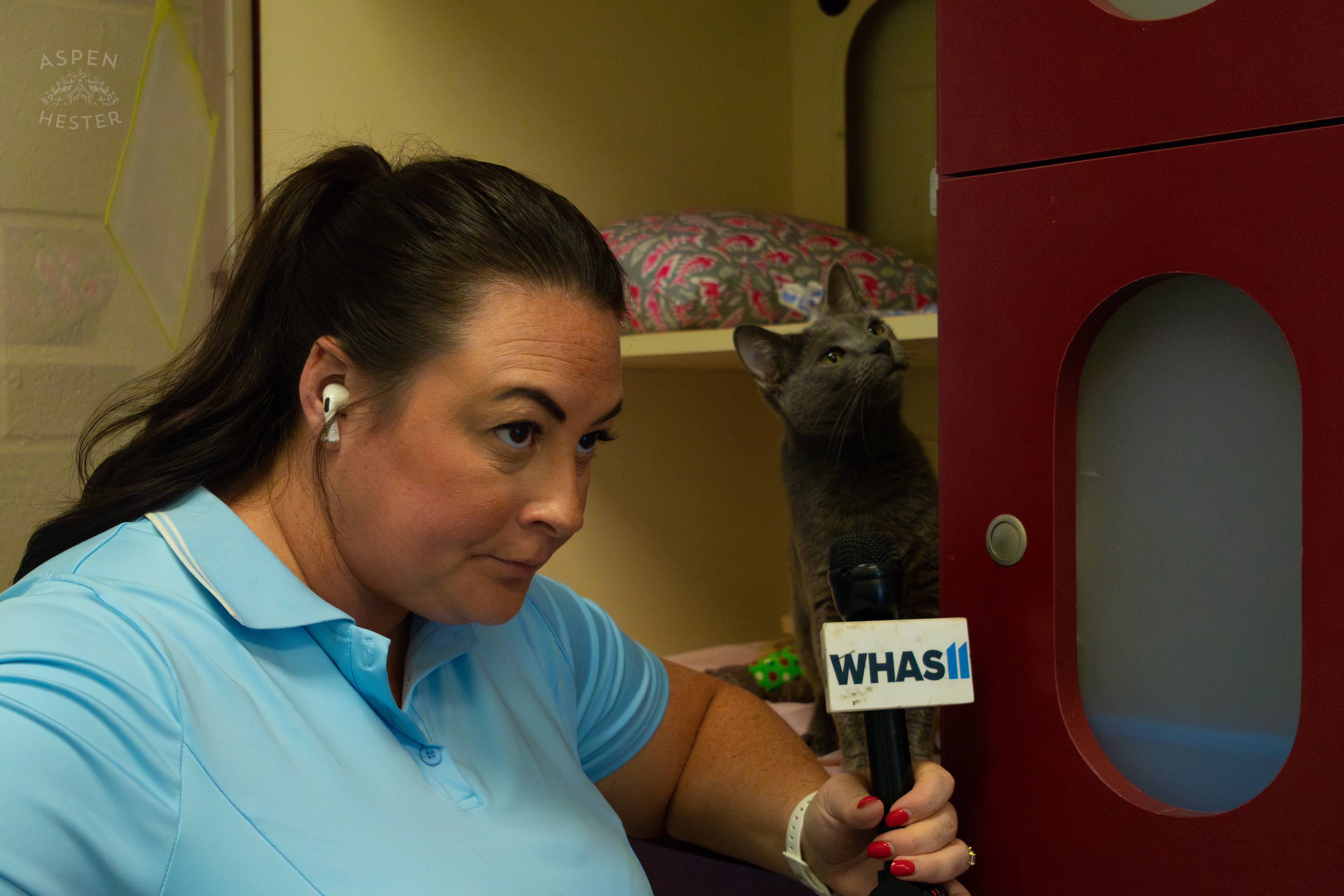 WHAS-11's Shay McAlister and Kitty Warsh During A Telethon that Raised $8000+ for Louisville Metro Animal Services. August 28th, 2024/Aspen Hester