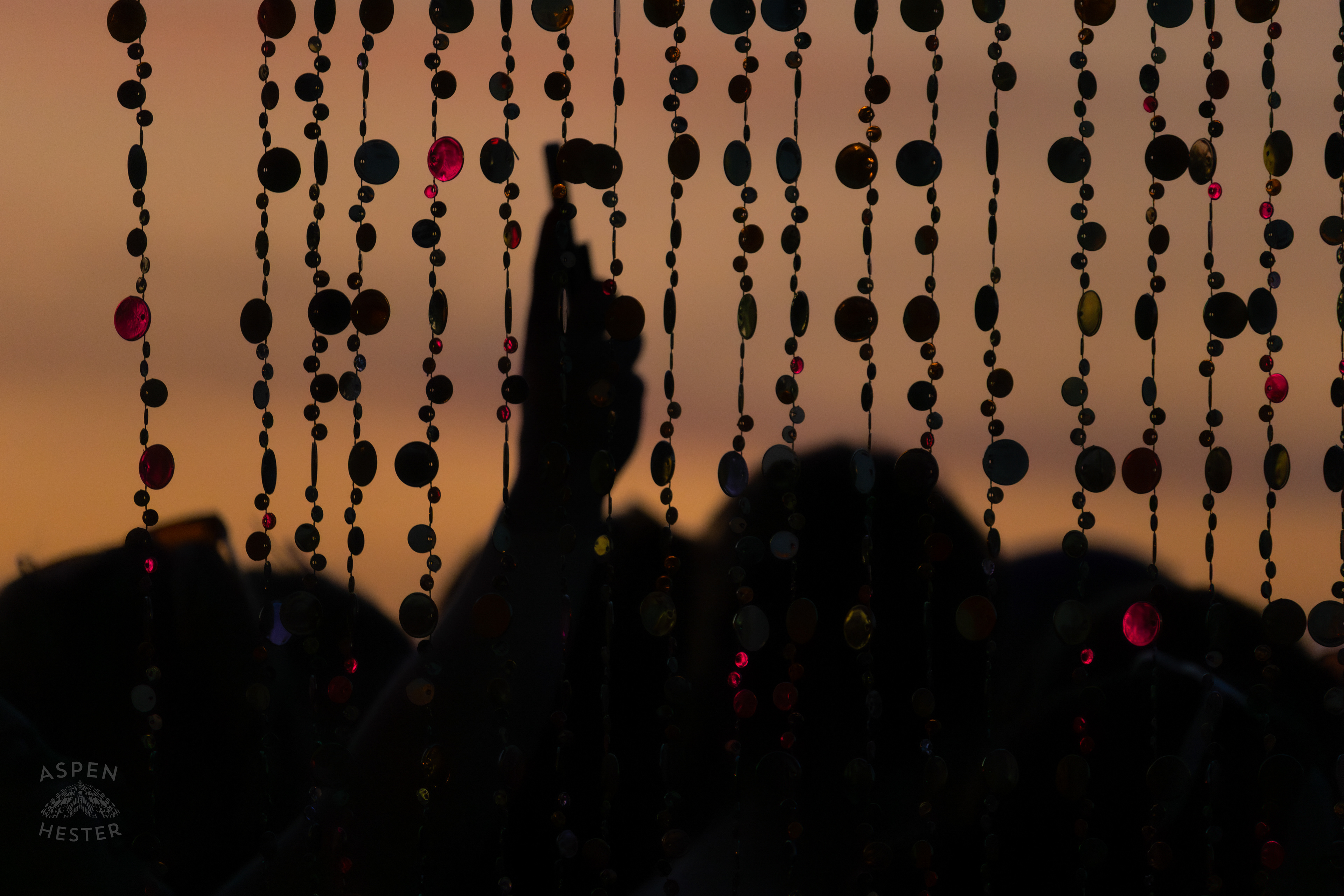 The VIP Section Watching Chappell Roan at Kentuckiana Pride. June 15th, 2024/Aspen Hester