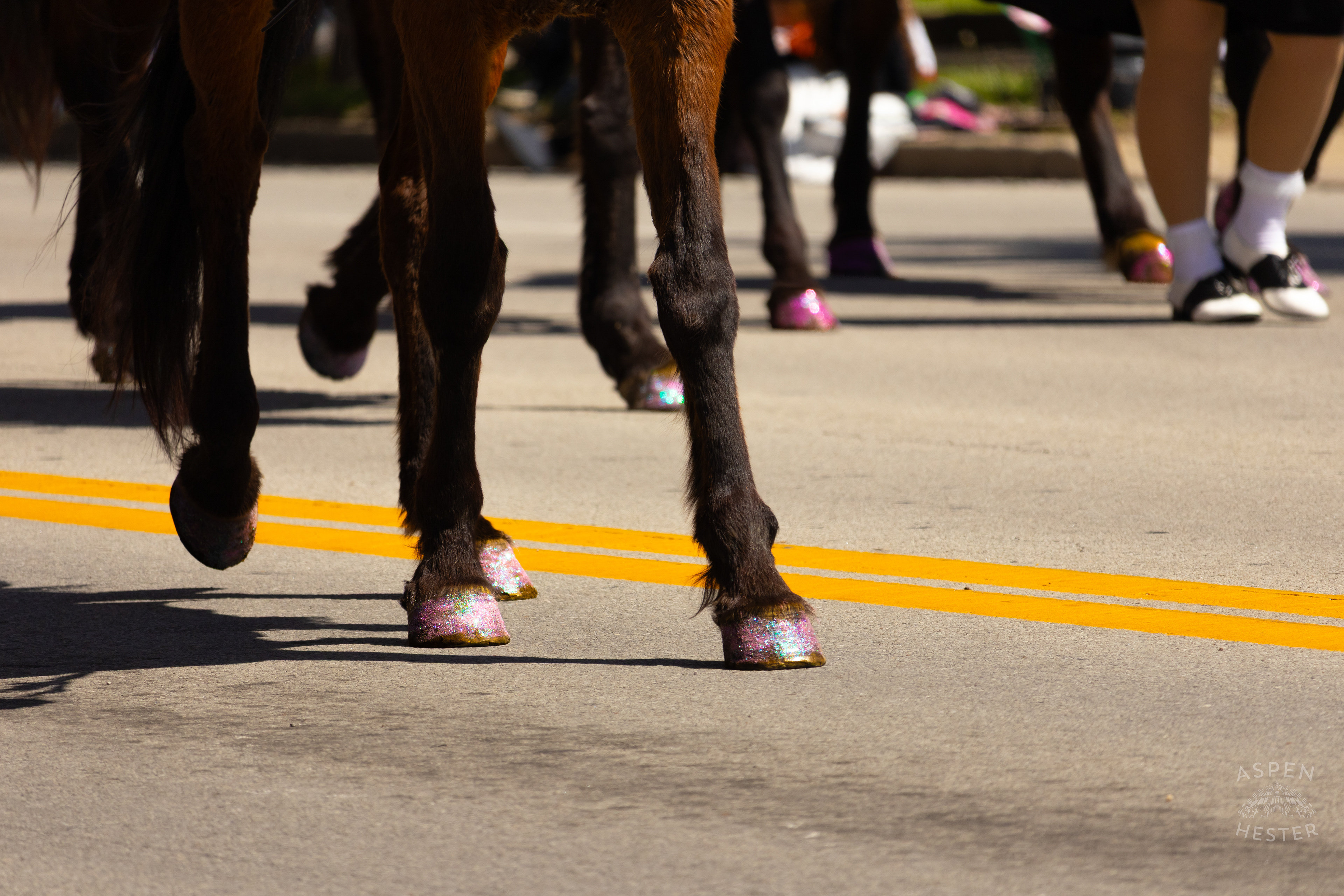 The Glittered Horseshoes of The American Sidesaddle Association as They March Down West Broadway for The 70th Annual Pegasus Parade. April 27th, 2025/Aspen Hester
