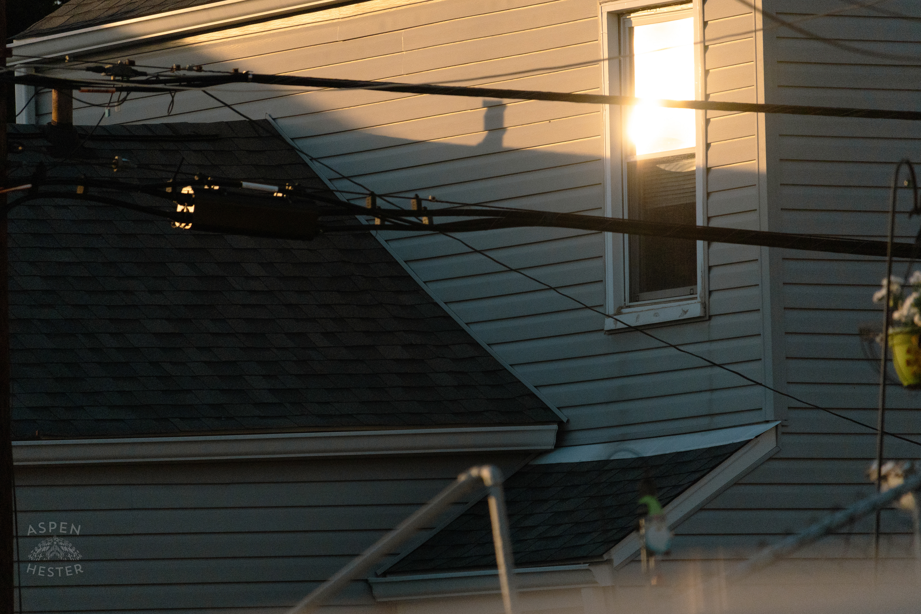 Home During Golden Hour on Preston Street. May 30th, 2024/Aspen Hester 